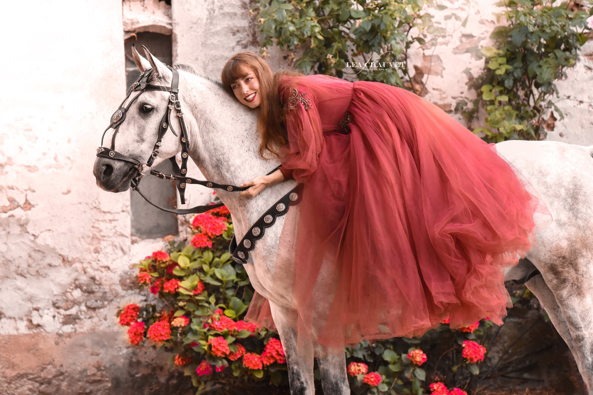 Chevaux