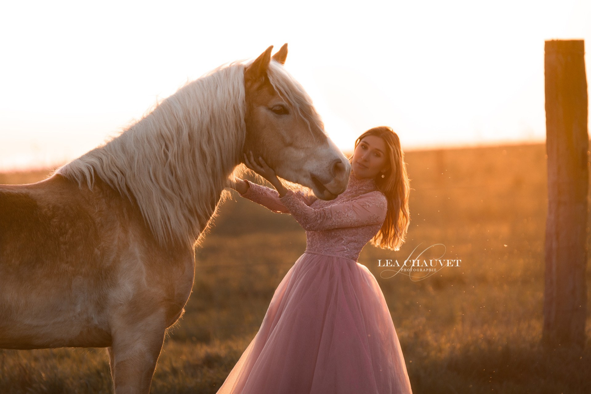 Chevaux