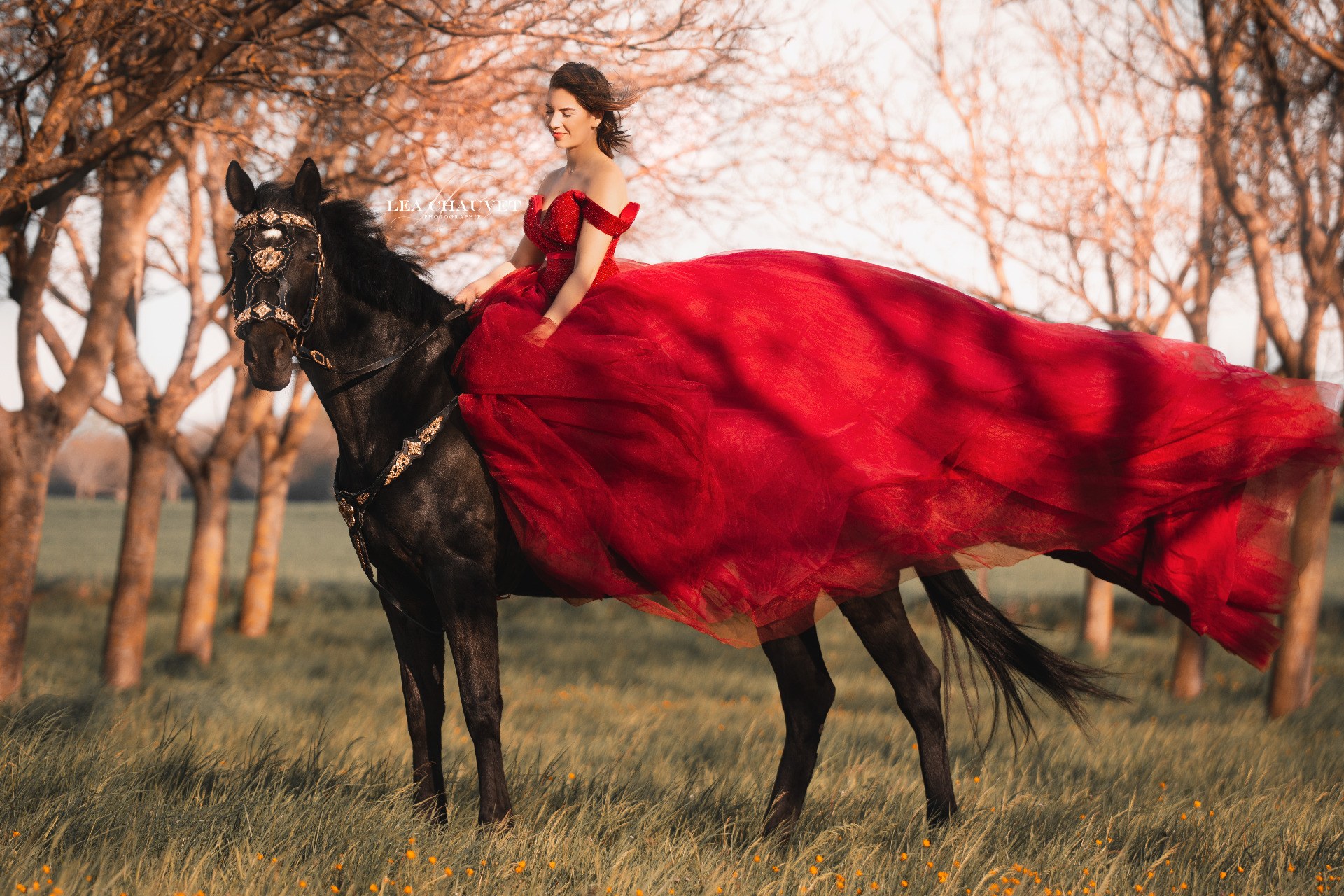 Chevaux