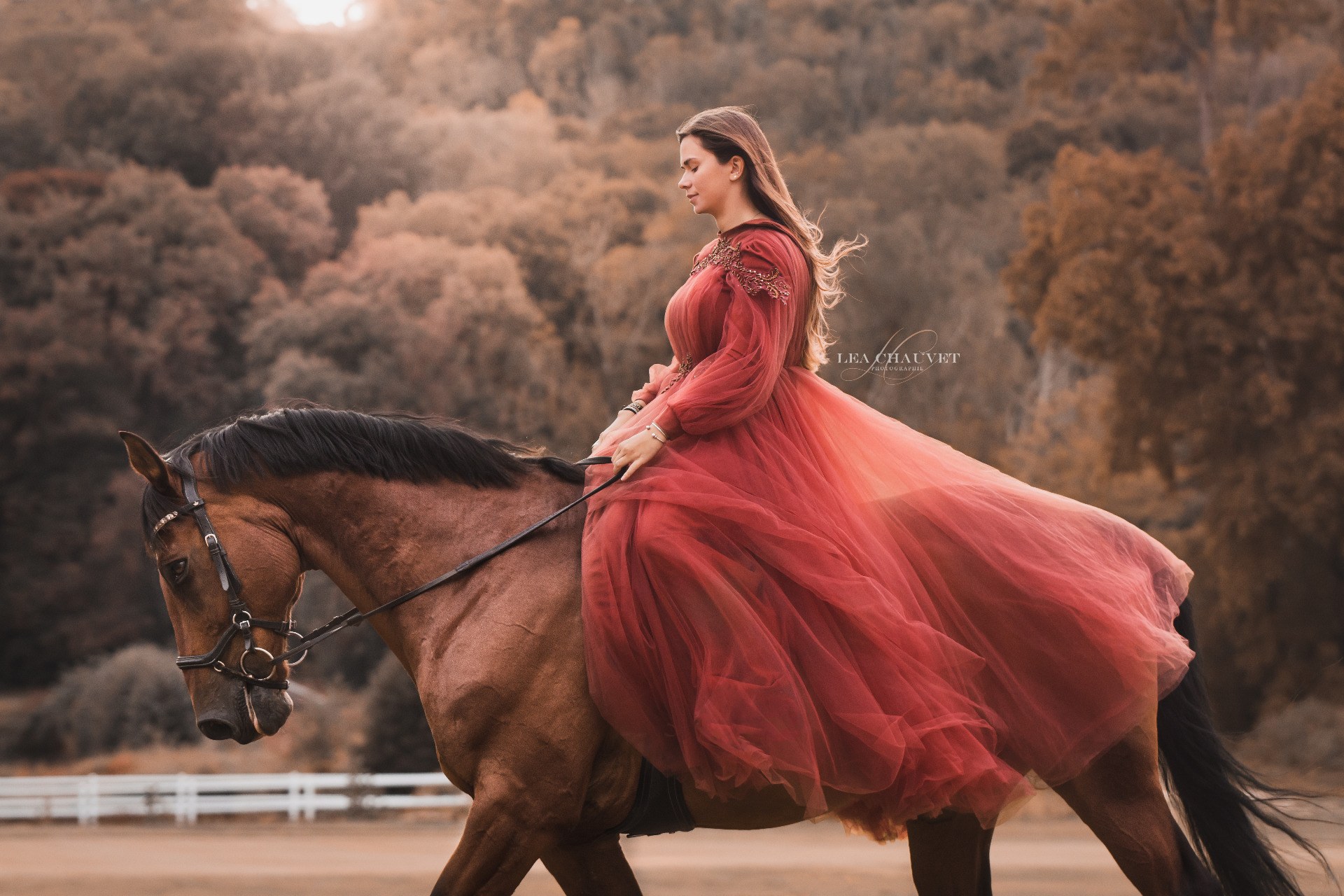 Chevaux