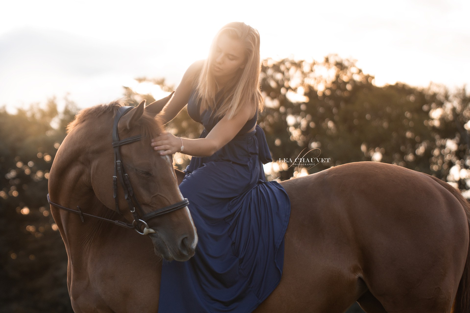 Chevaux