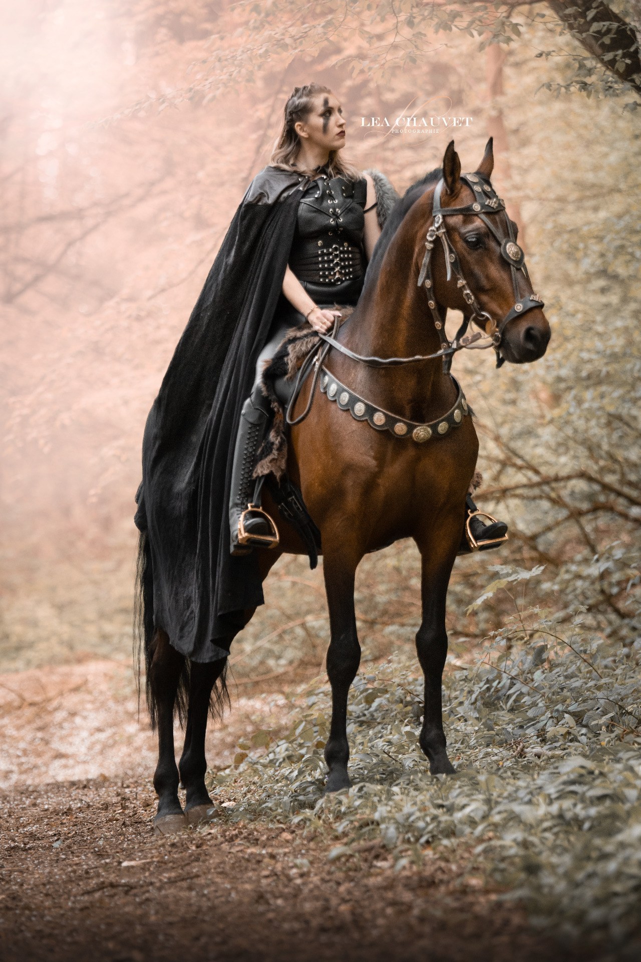 Chevaux