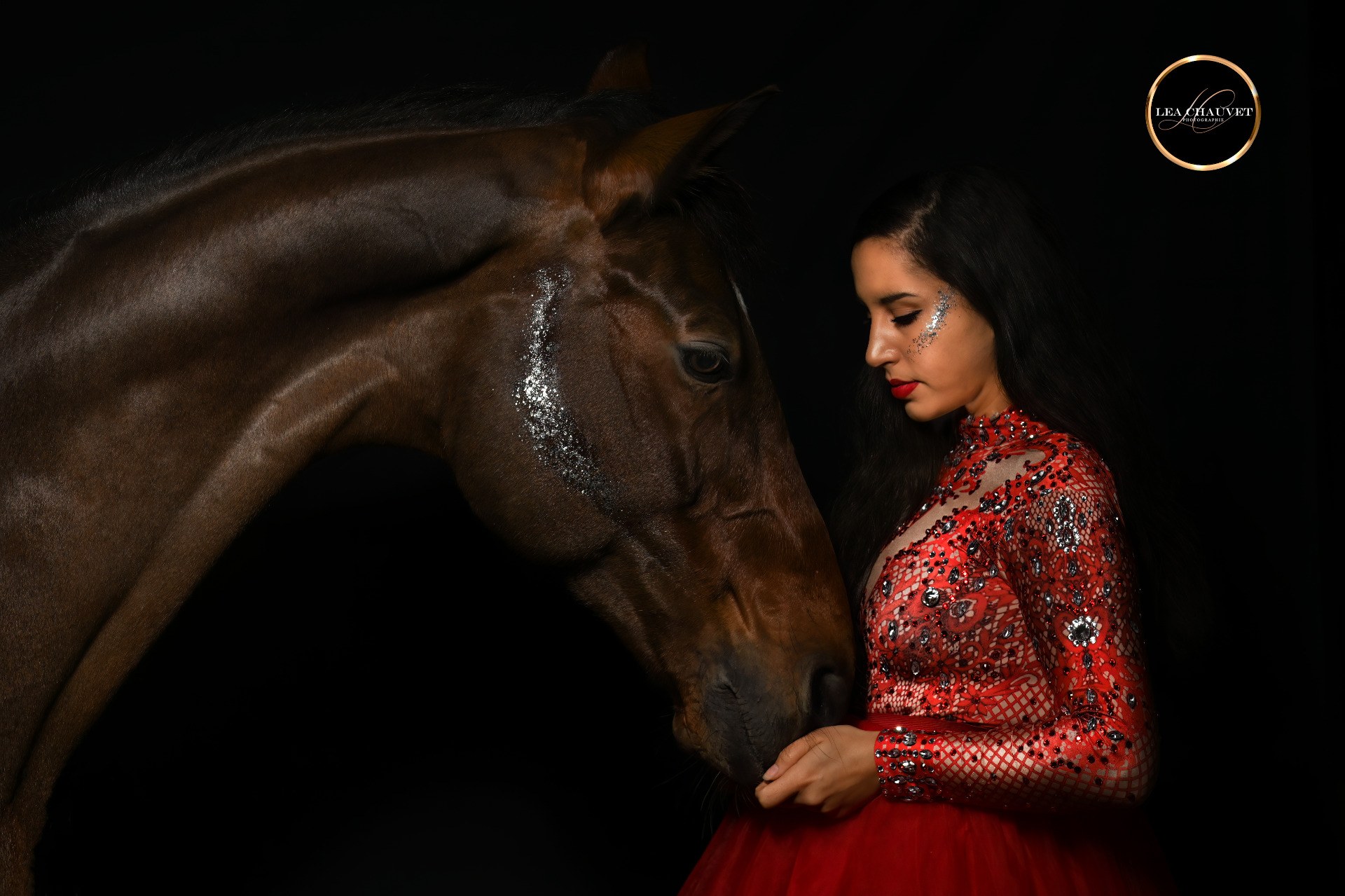 Chevaux