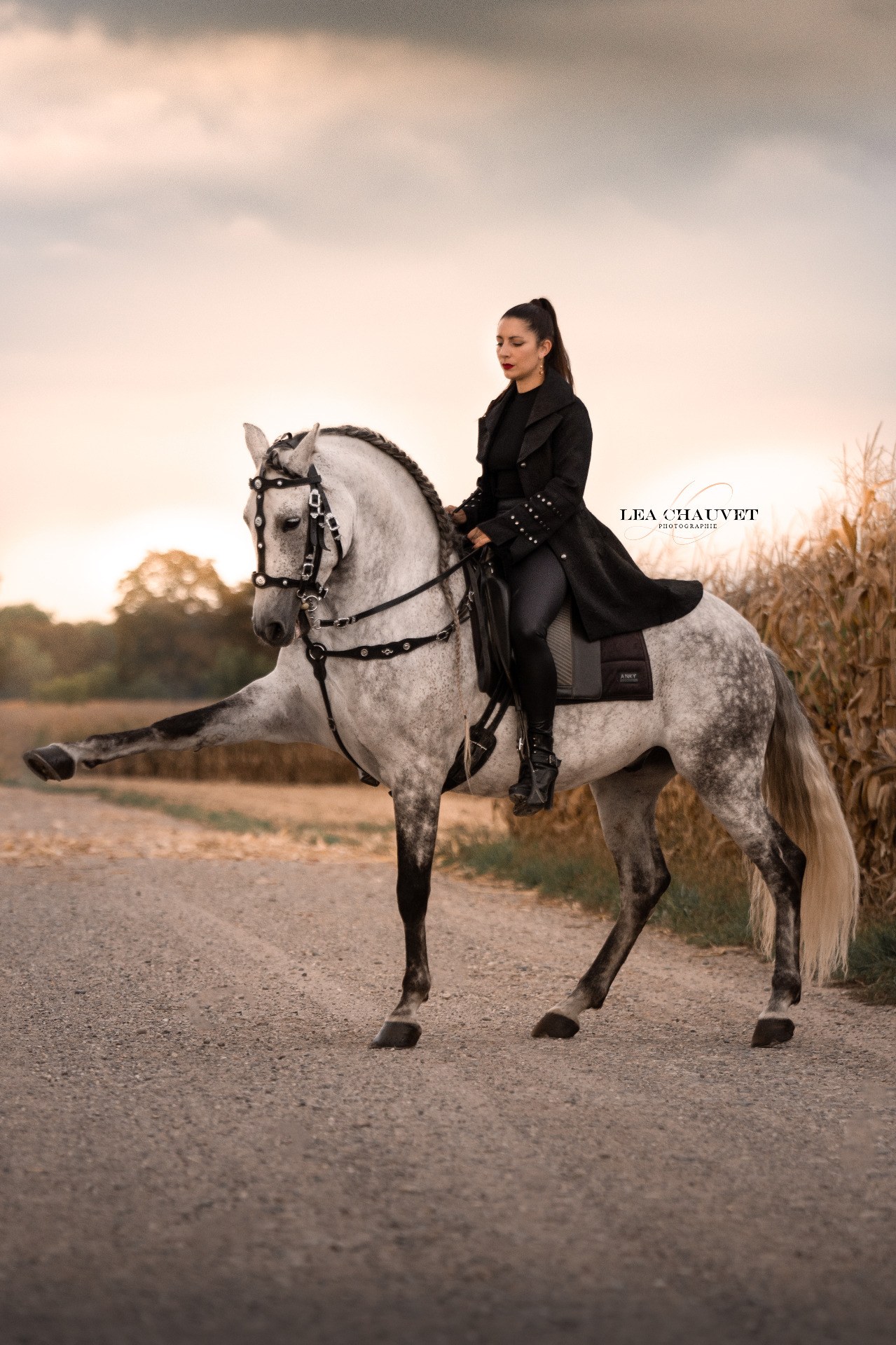 Chevaux