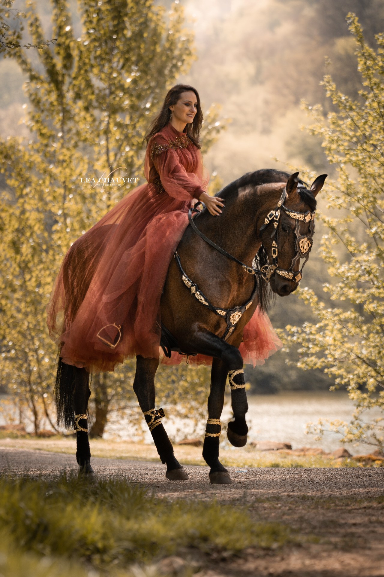 Chevaux