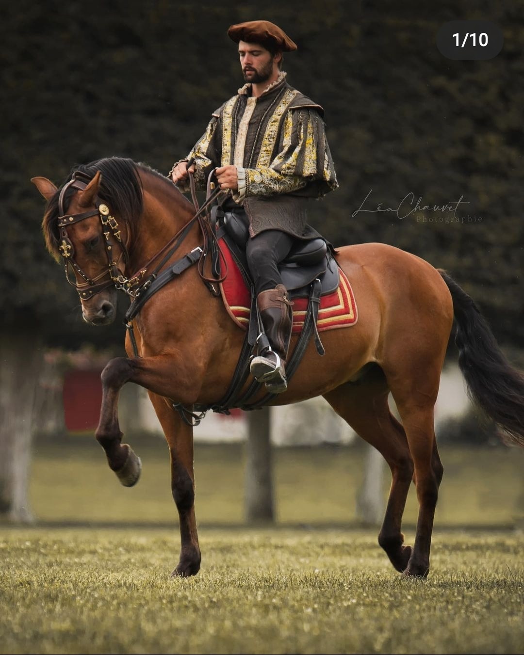 Chevaux