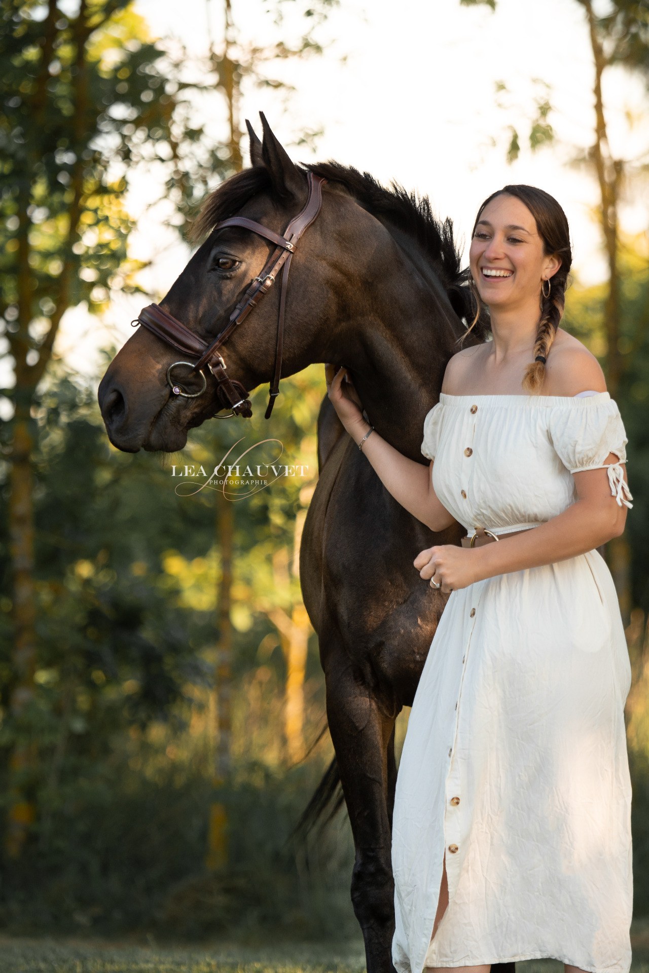 Chevaux