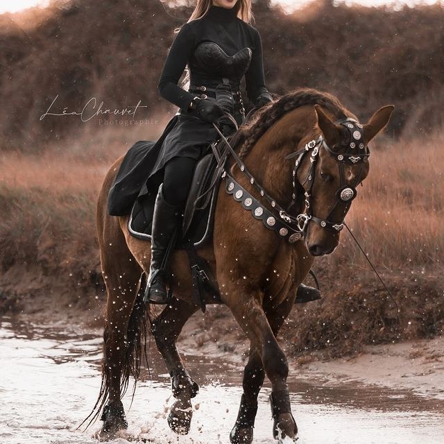 Chevaux