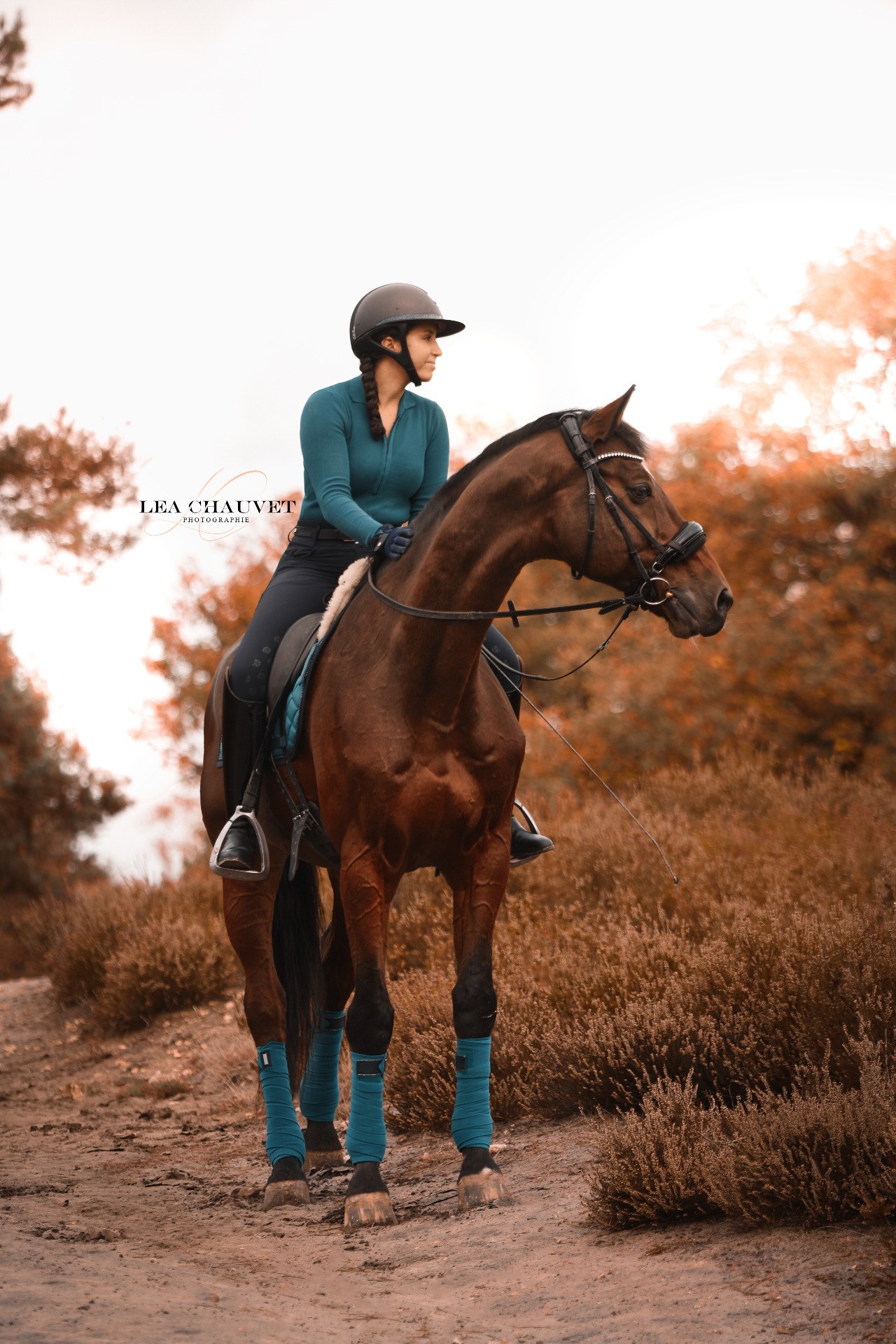 Chevaux