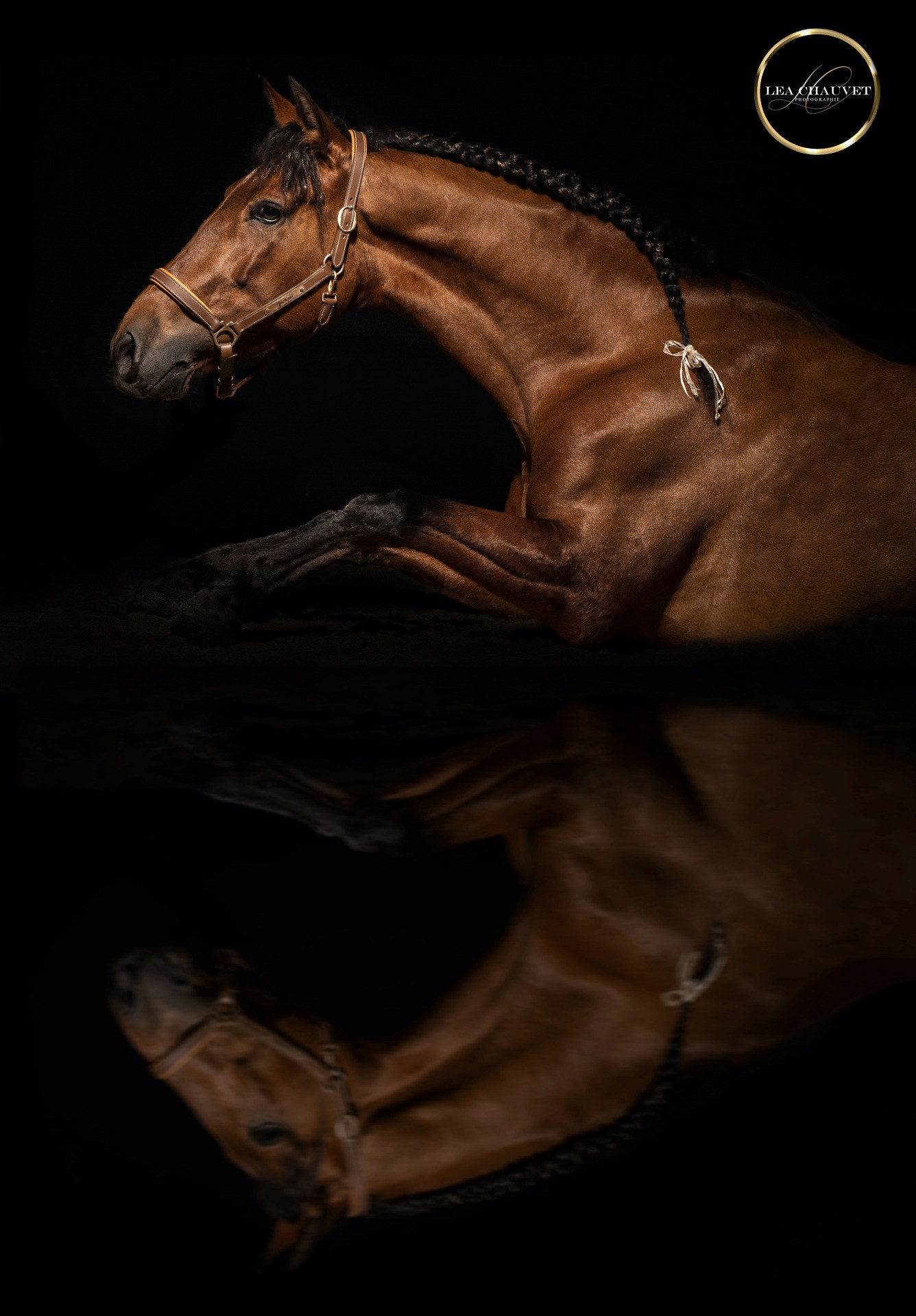Chevaux