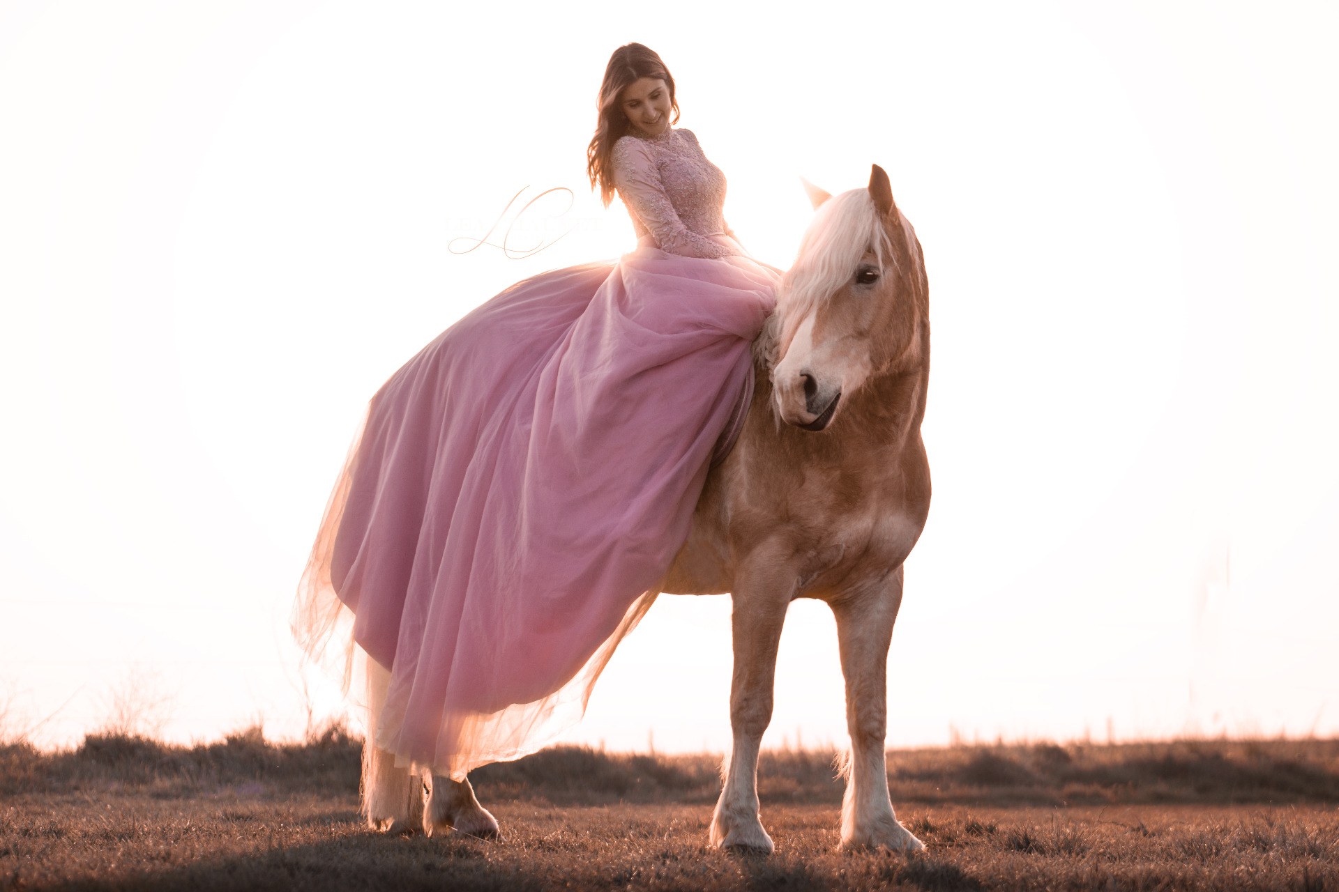 Chevaux