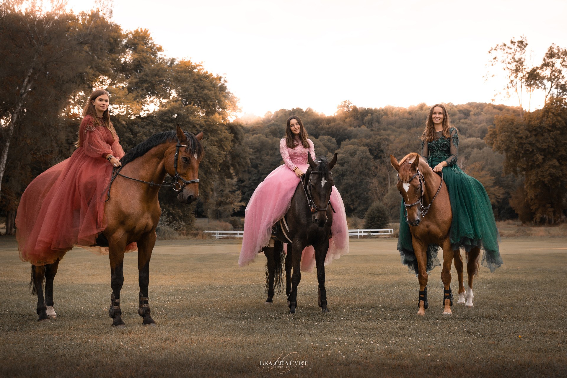 Chevaux