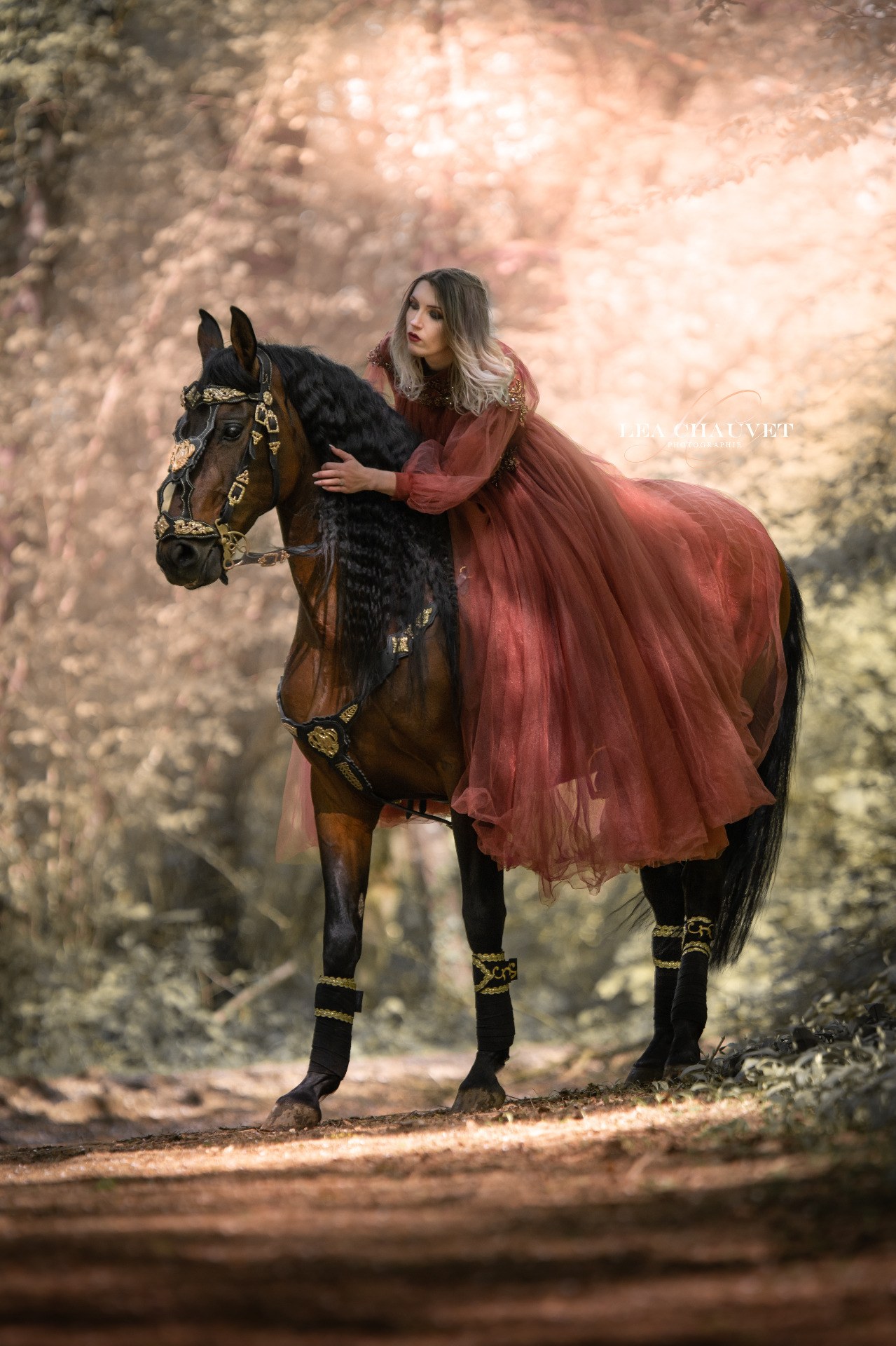 Chevaux