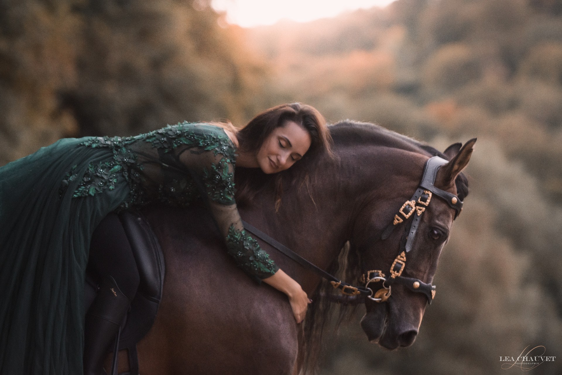 Chevaux