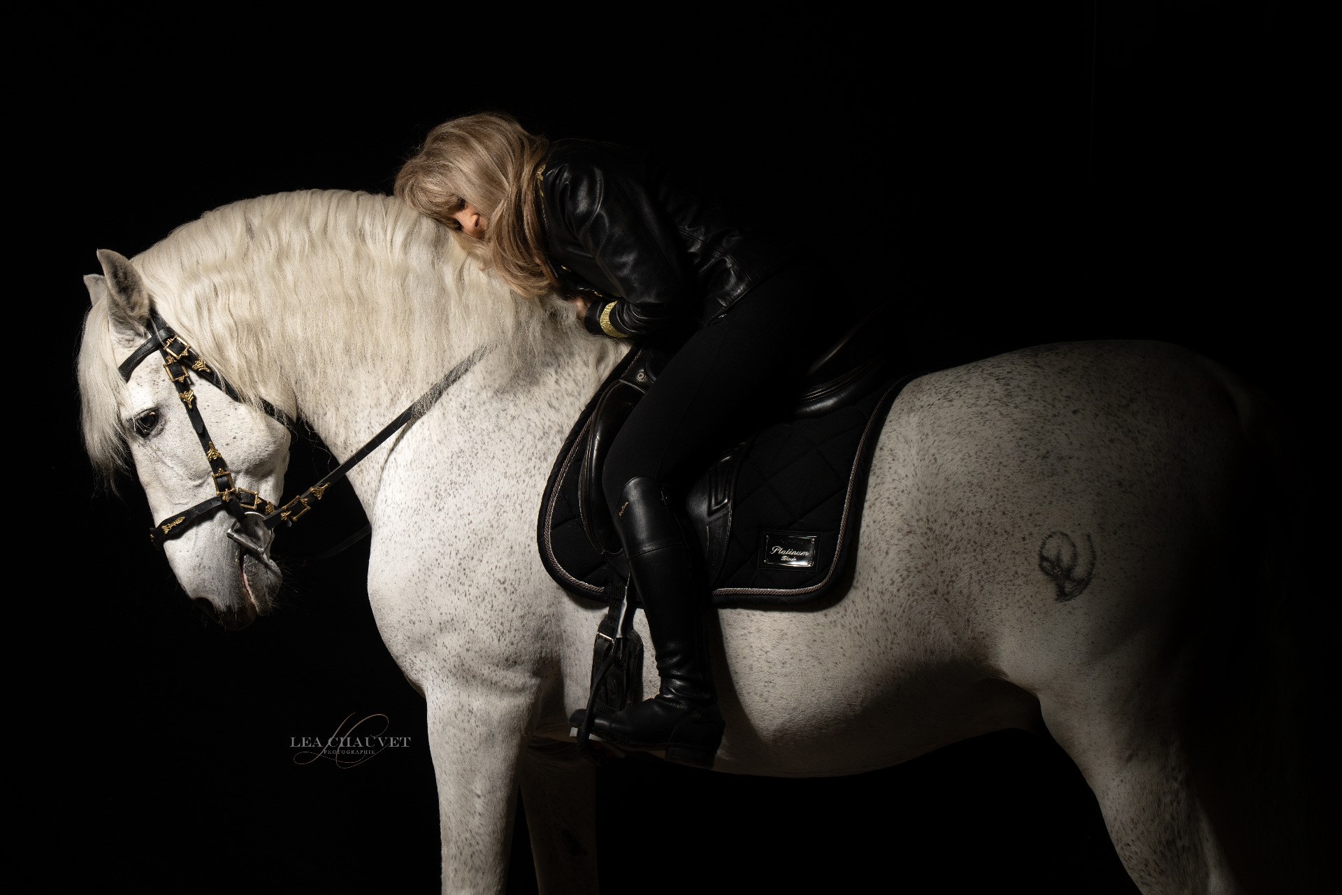 Chevaux