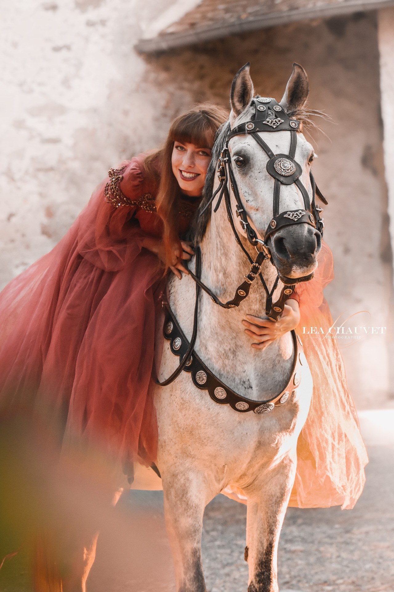 Chevaux