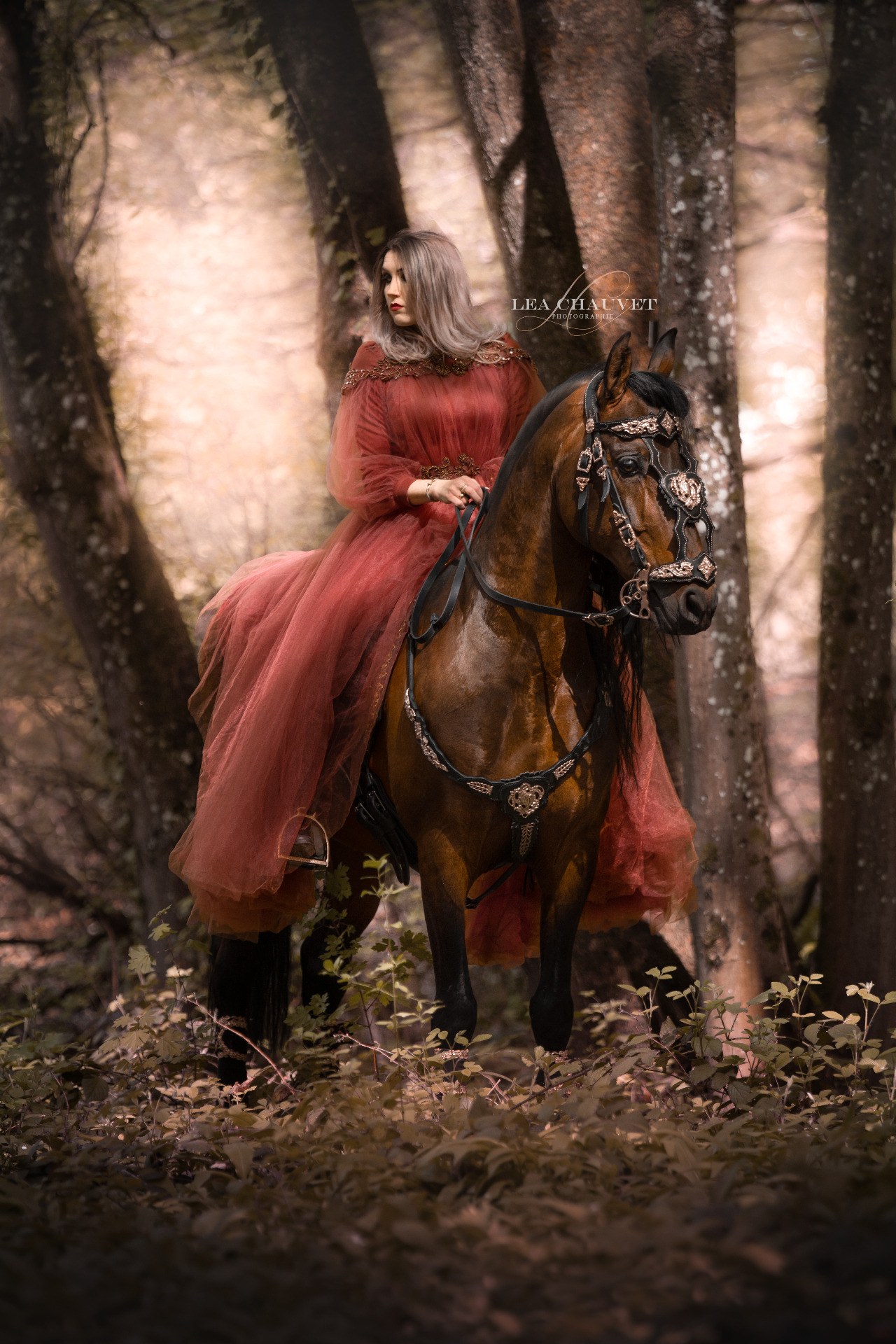 Chevaux