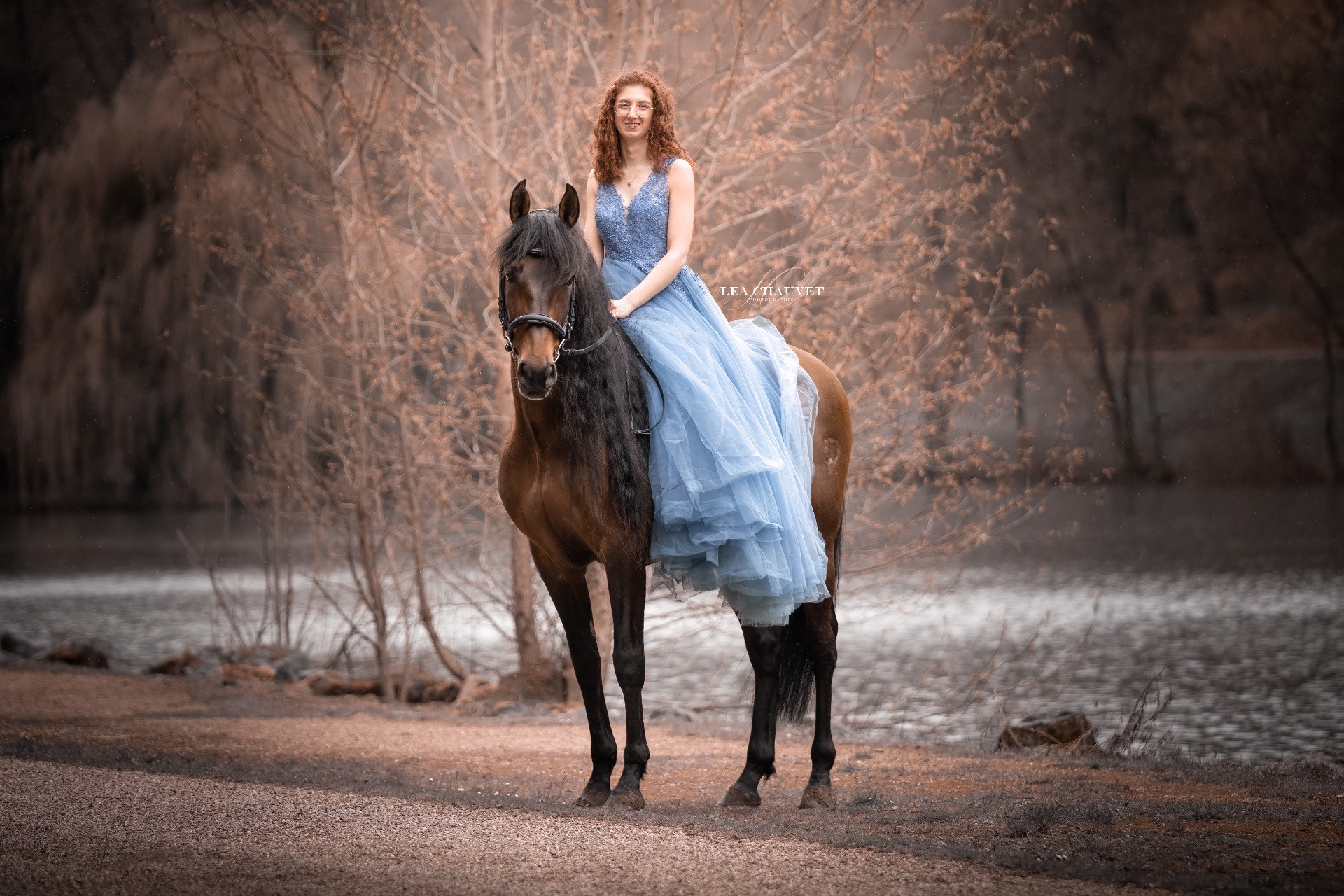 Chevaux