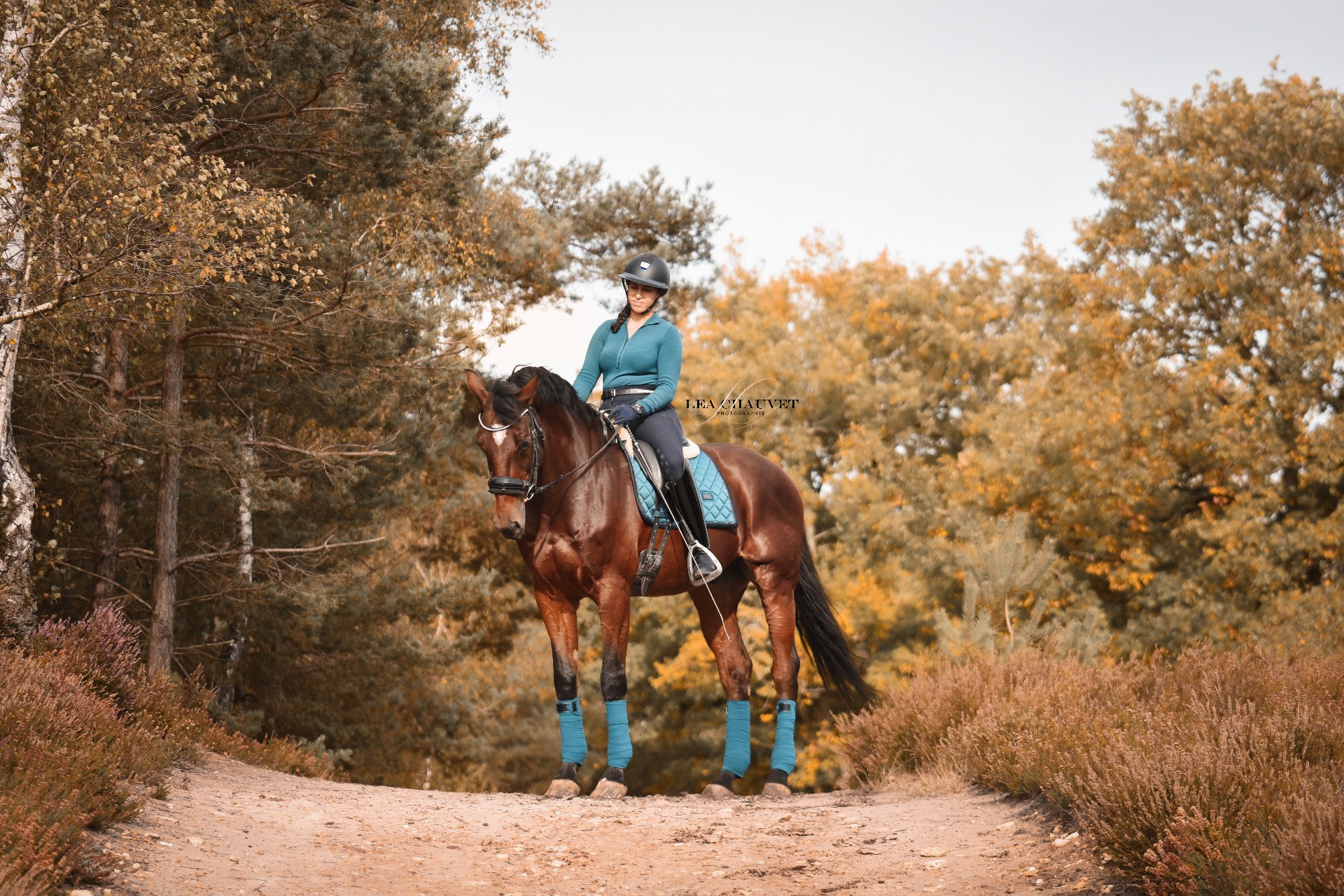 Chevaux