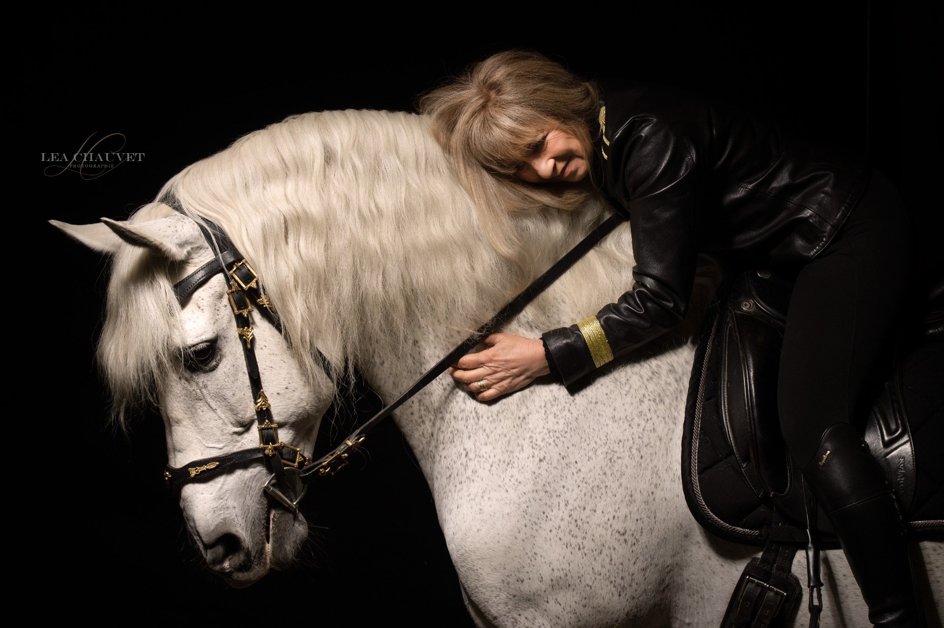 Chevaux