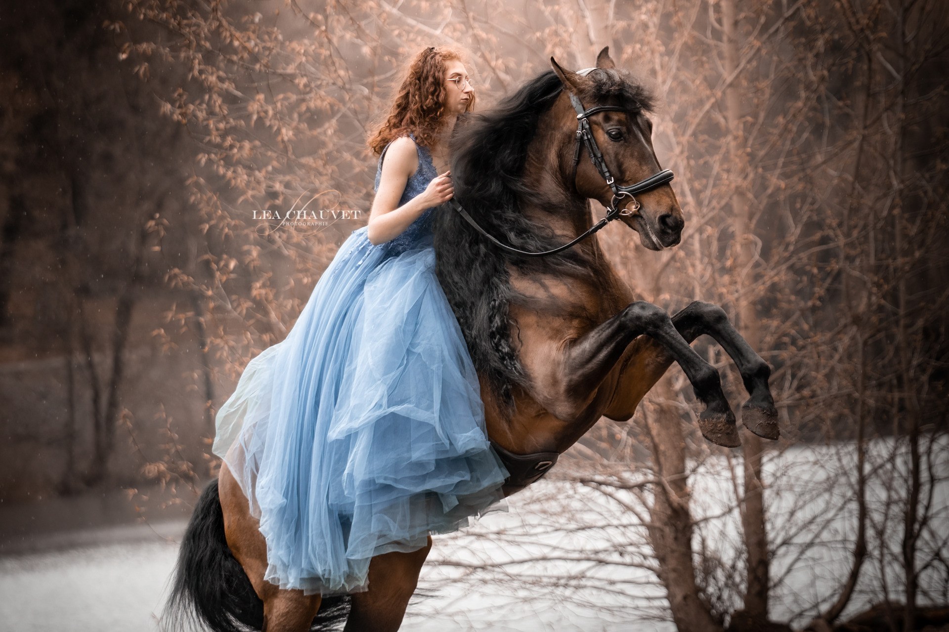 Chevaux