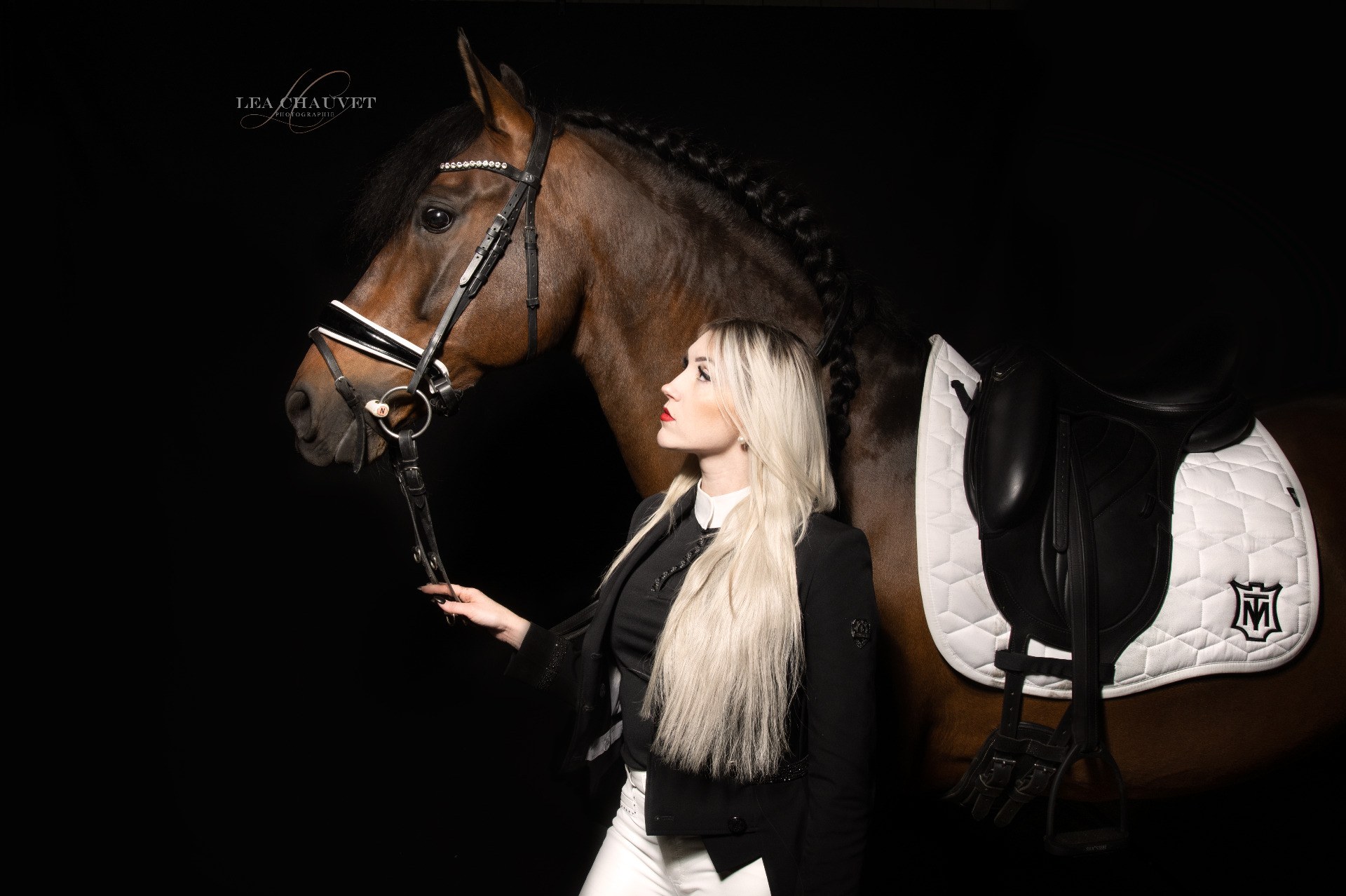 Chevaux