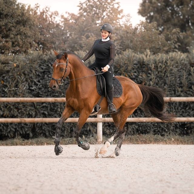 Chevaux