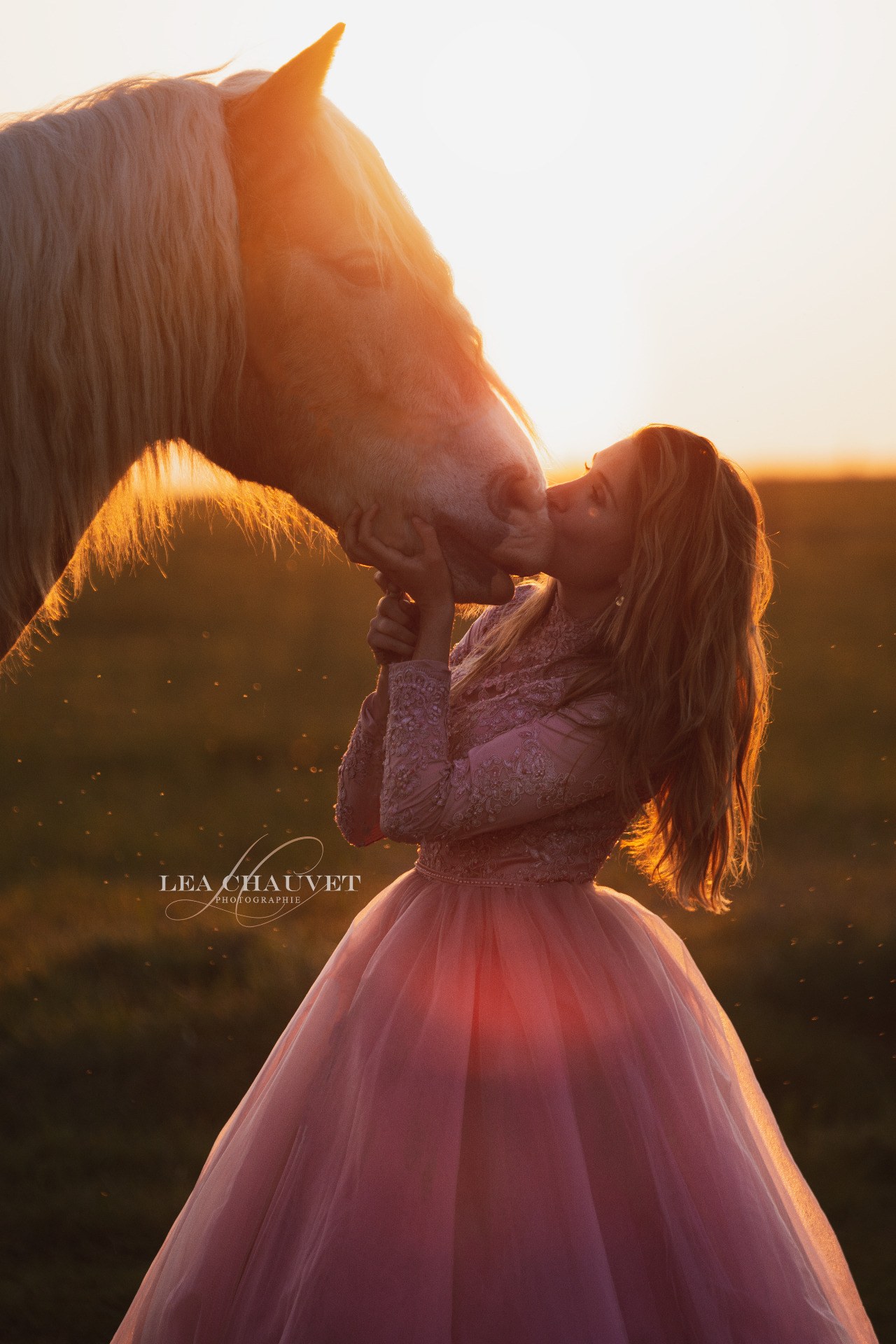 Chevaux