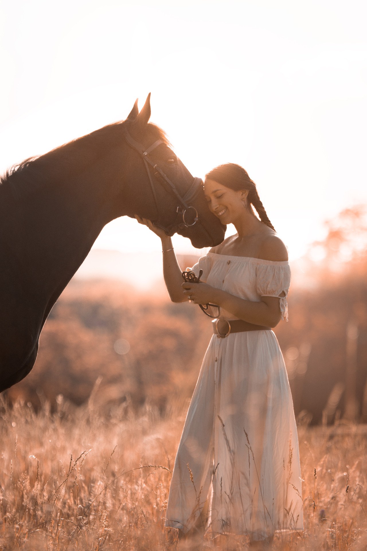 Chevaux