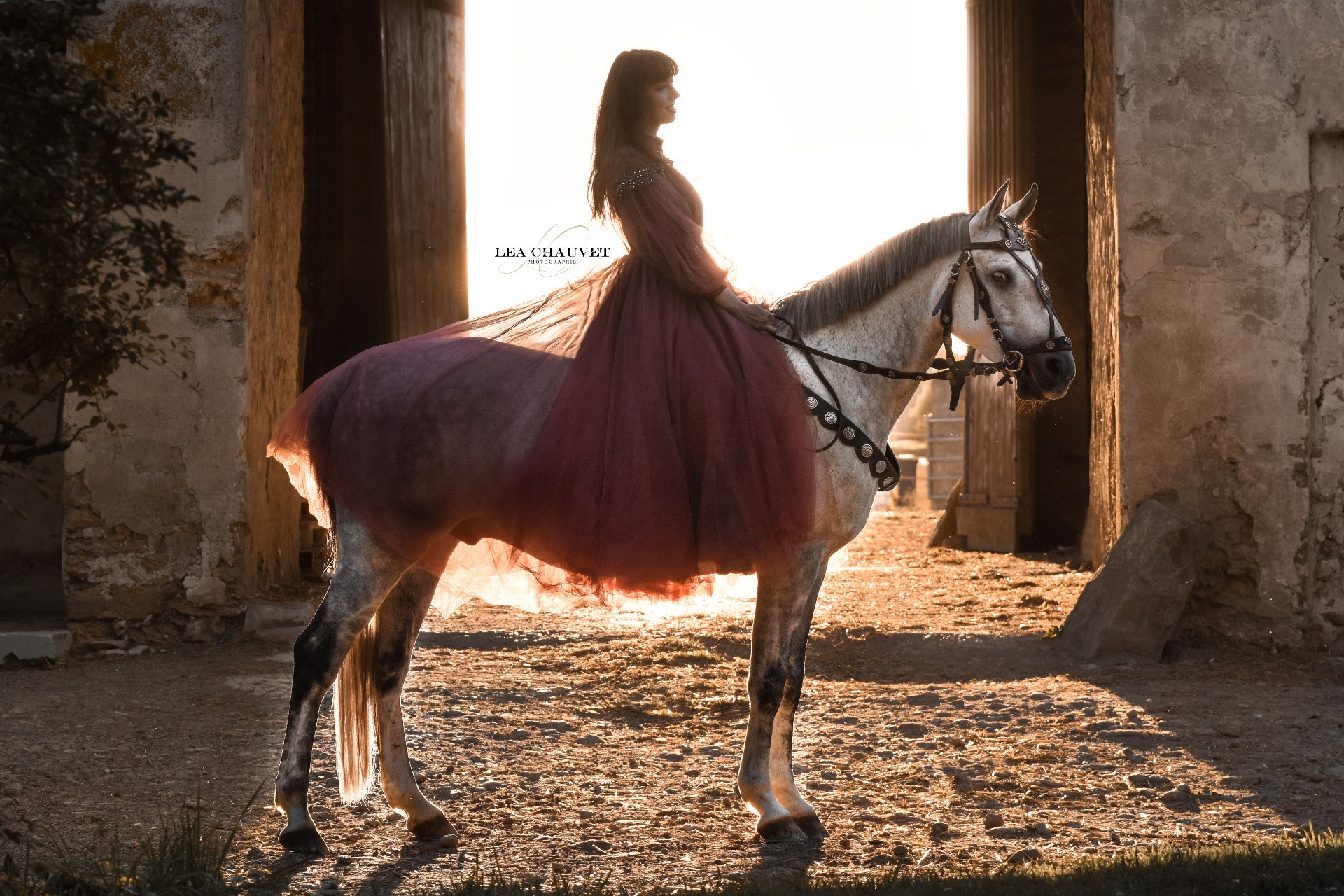 Chevaux