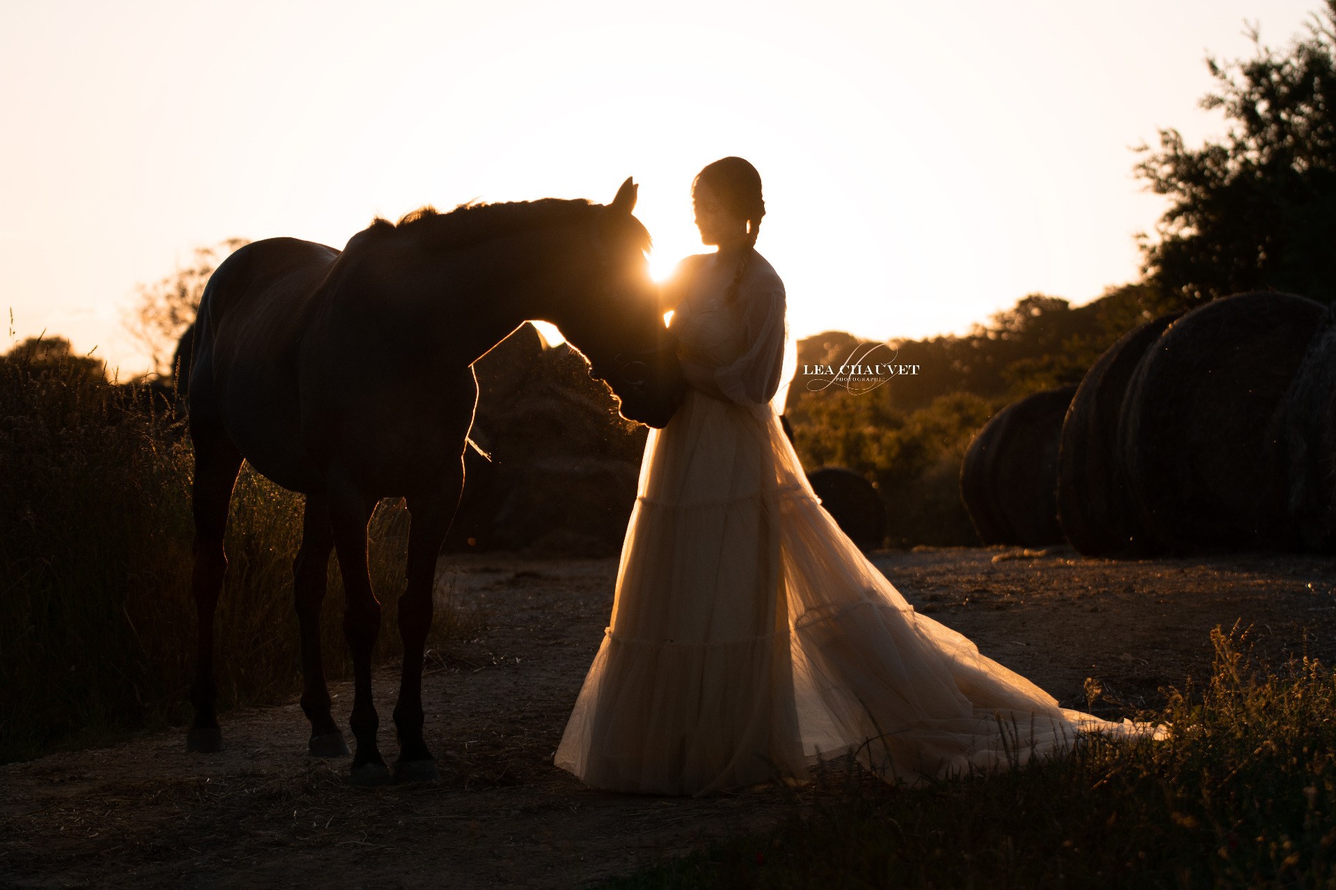 Chevaux