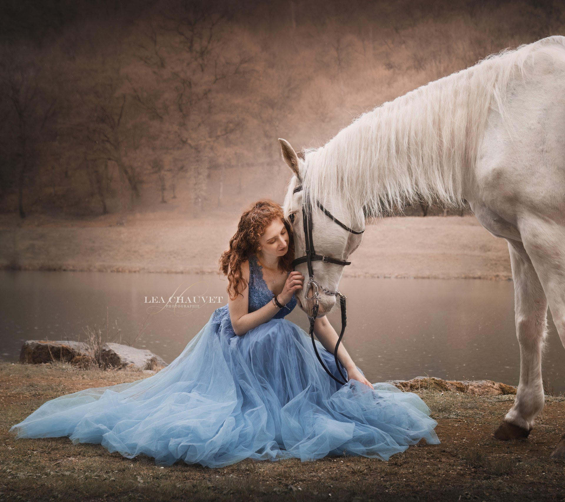 Chevaux