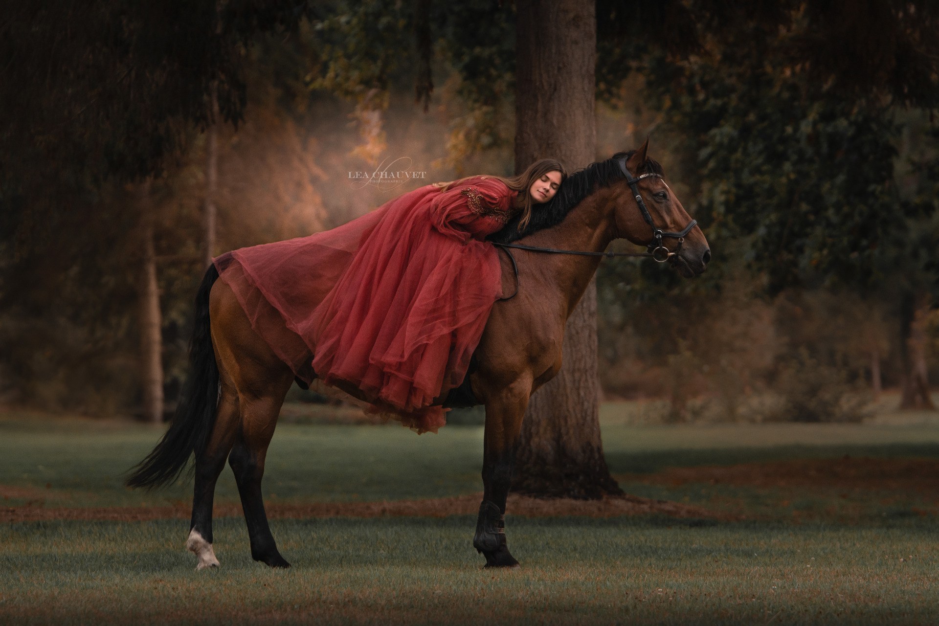 Chevaux