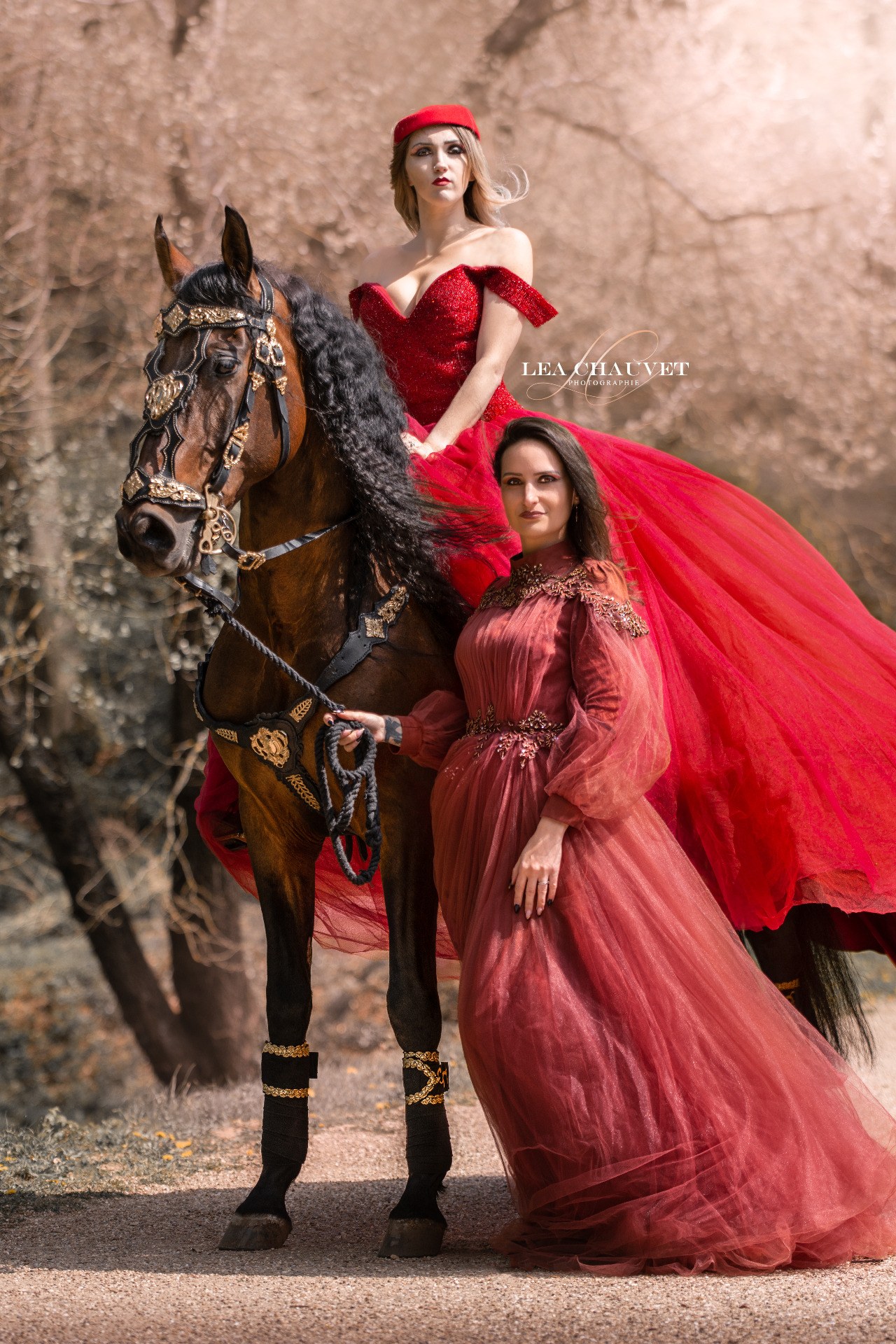 Chevaux