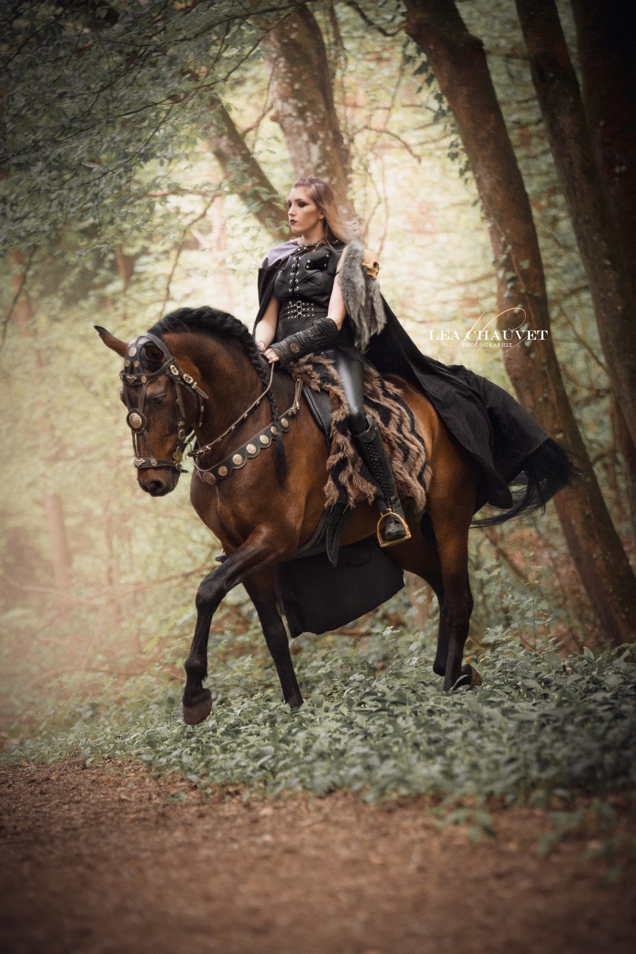 Chevaux
