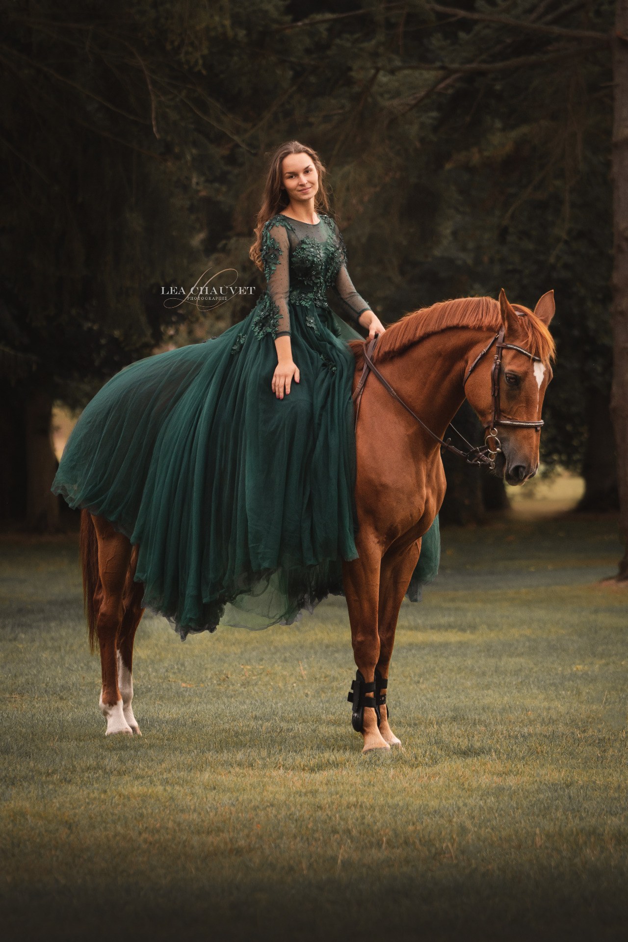 Chevaux