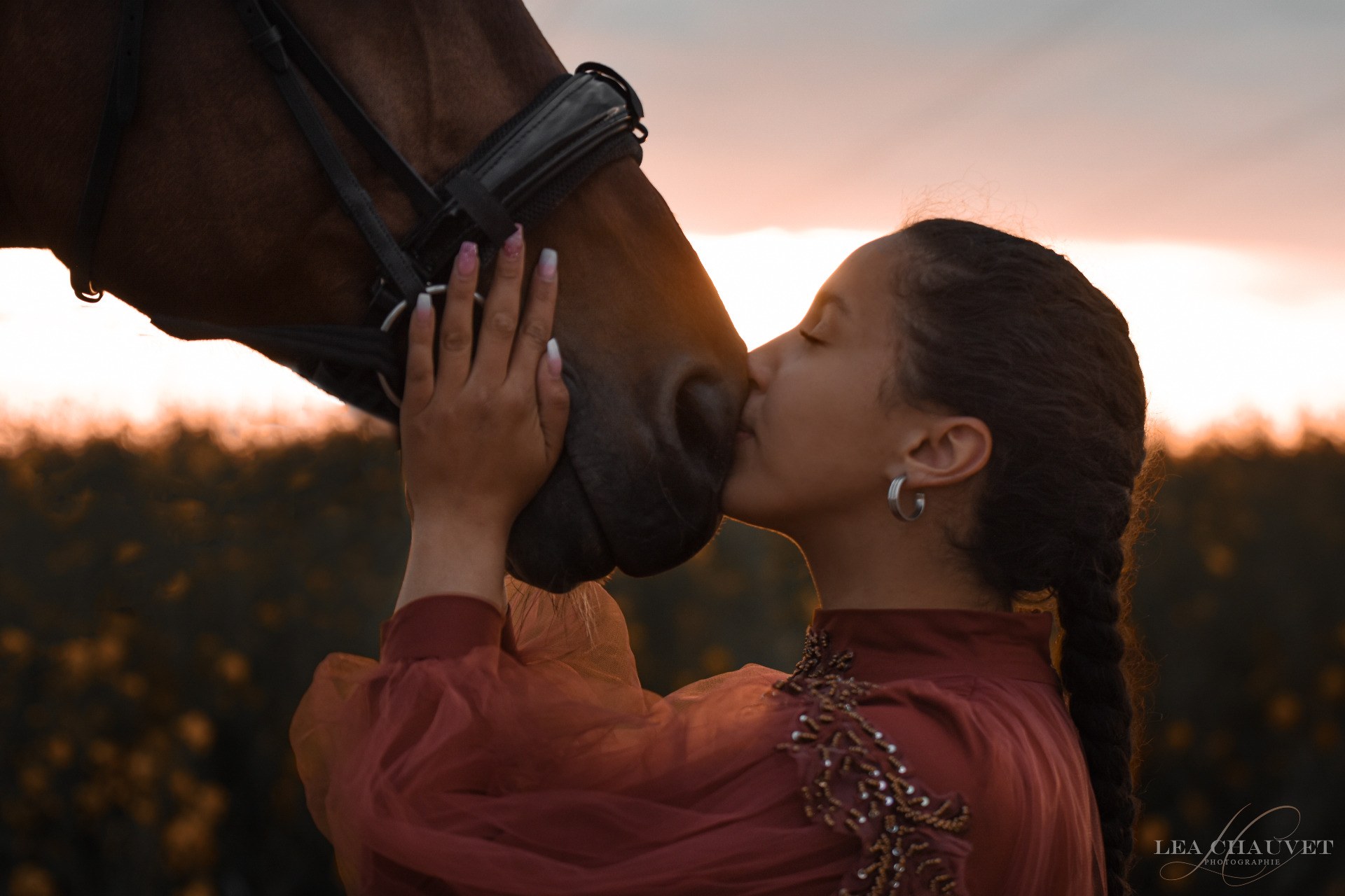 Chevaux