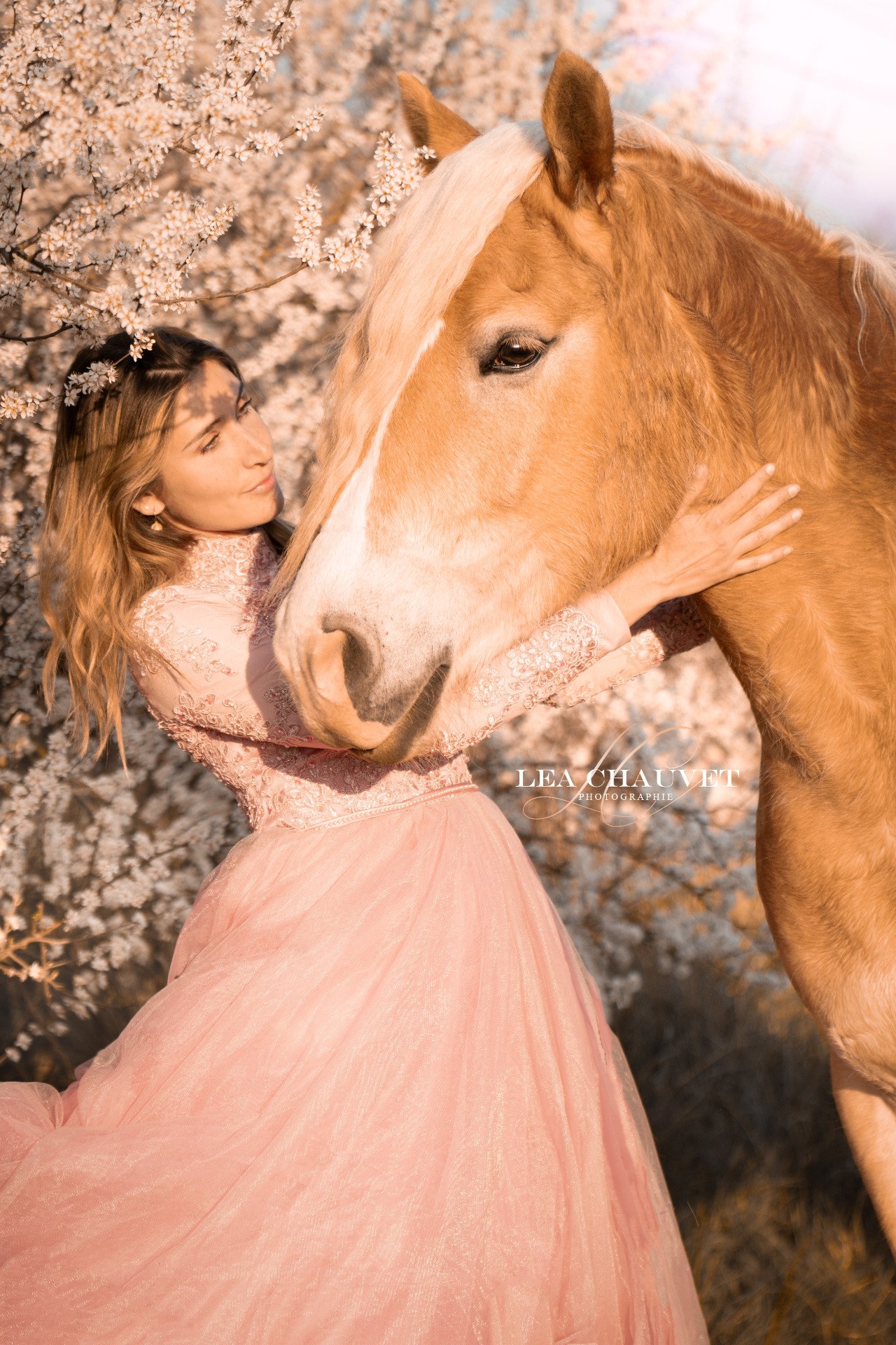Chevaux