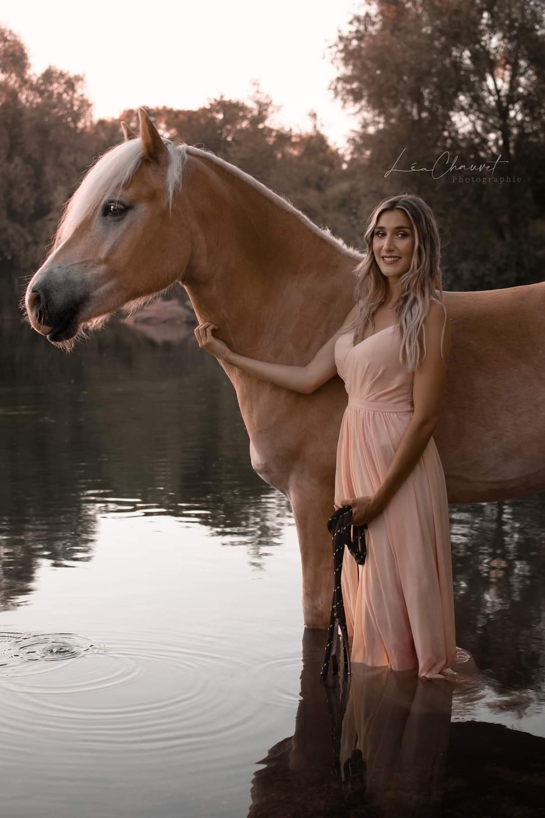 Chevaux