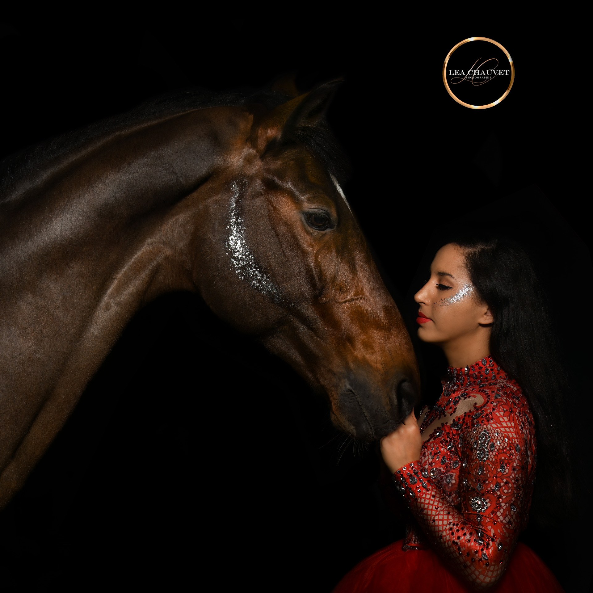 Chevaux