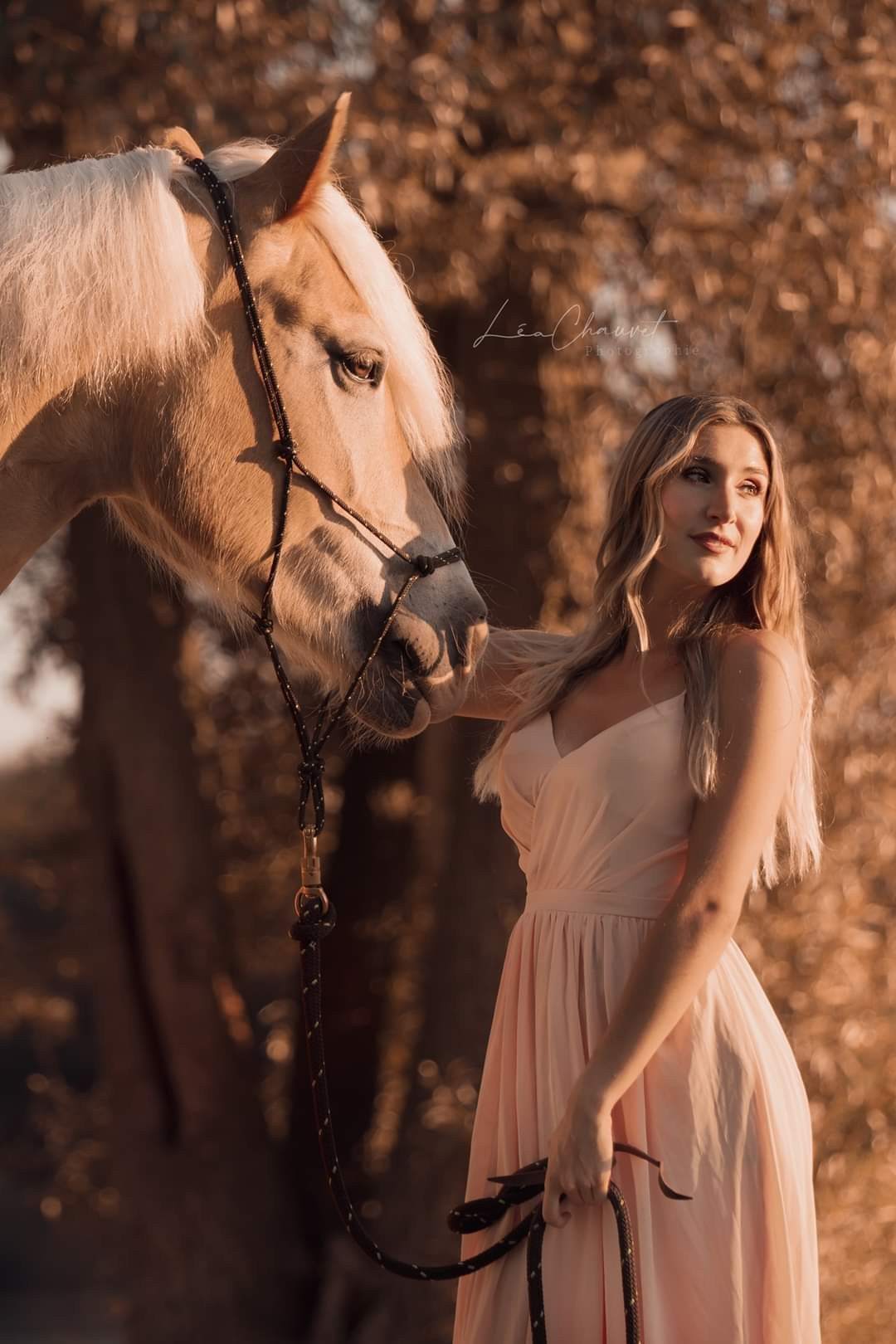 Chevaux