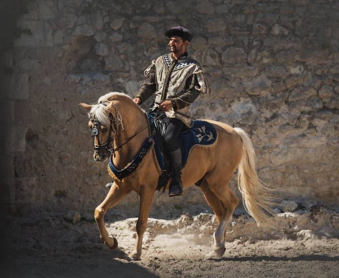Chevaux
