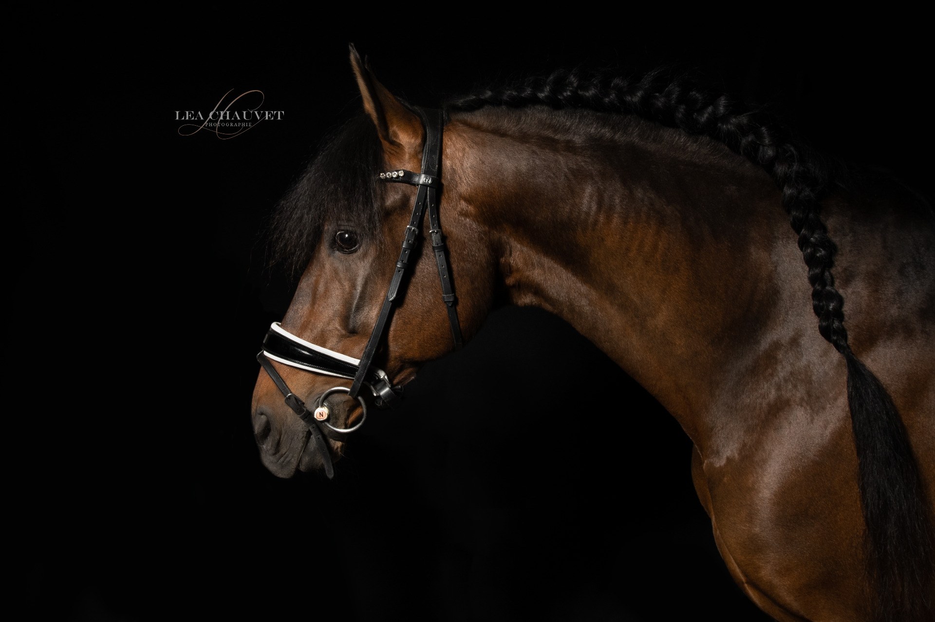 Chevaux