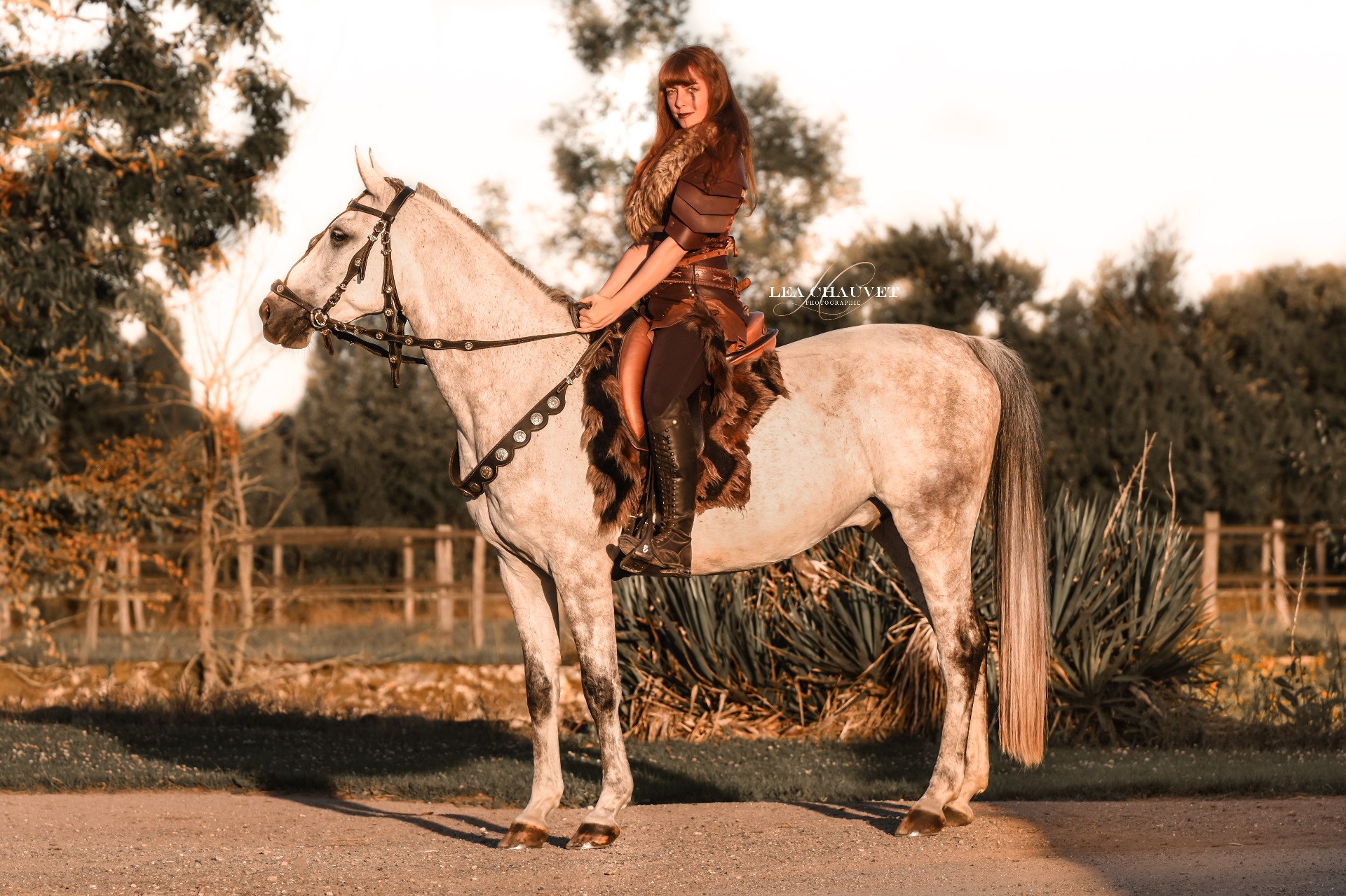 Chevaux