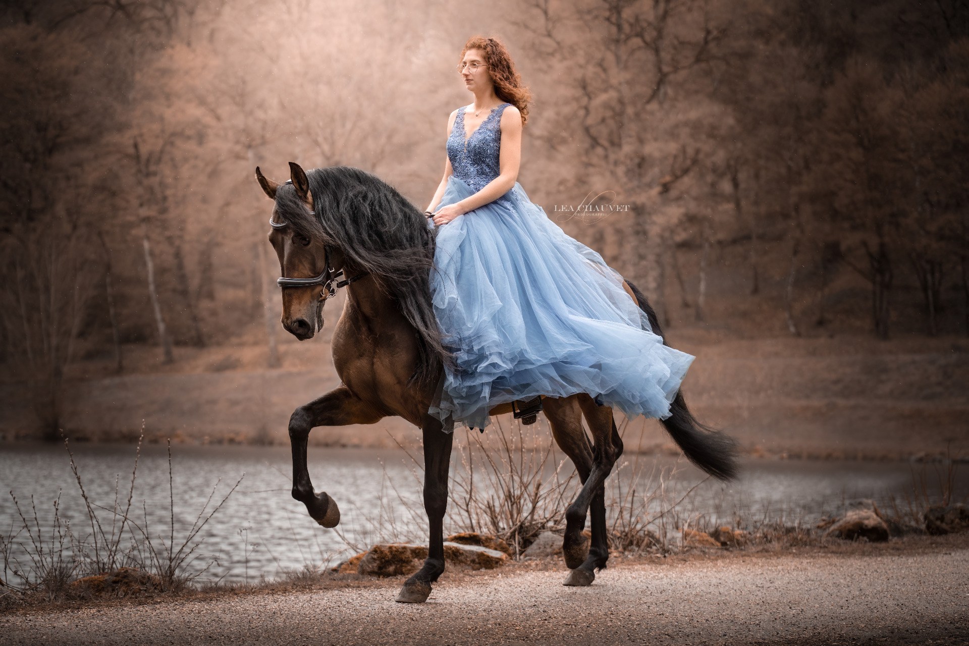 Chevaux