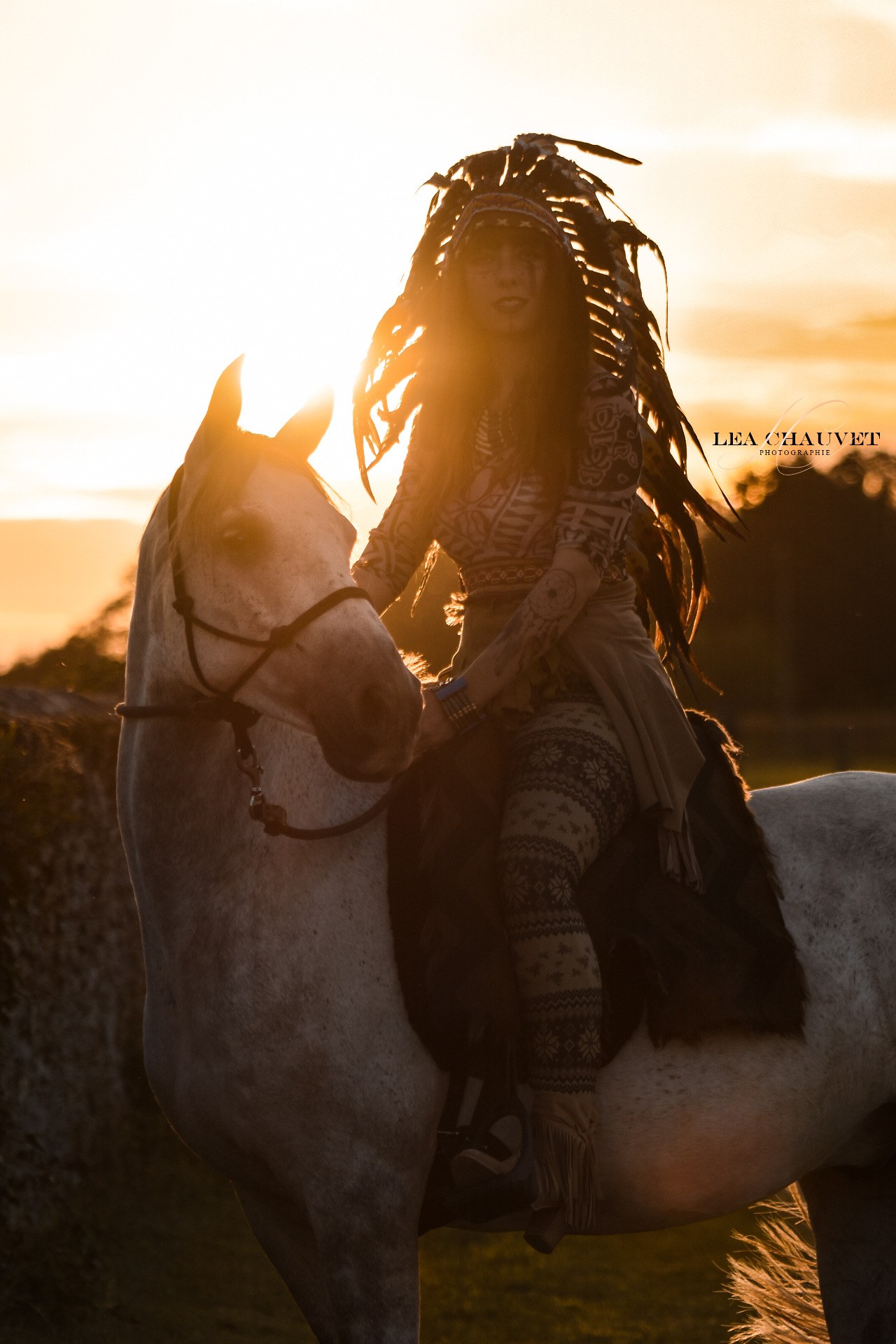 Chevaux