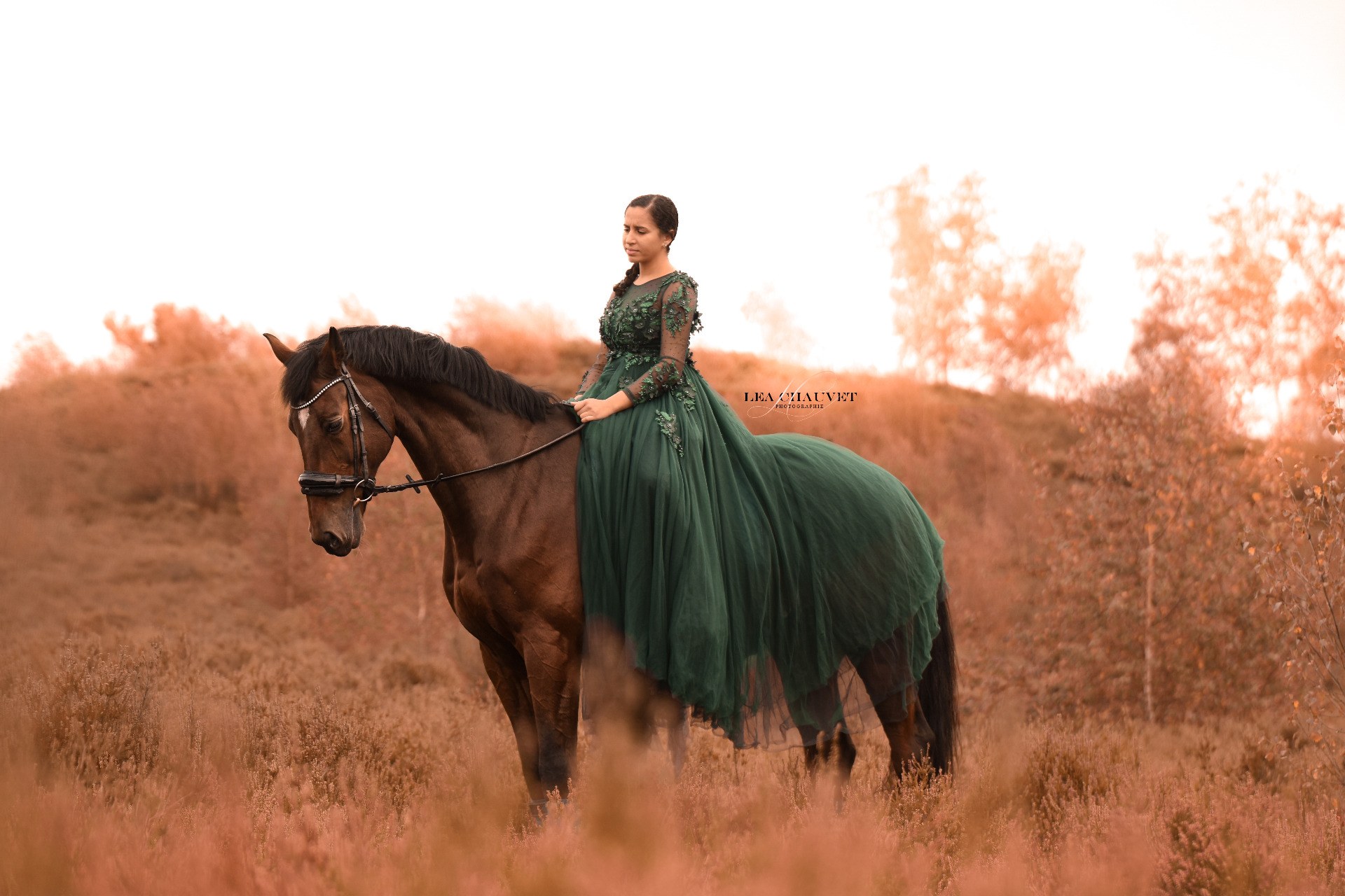 Chevaux