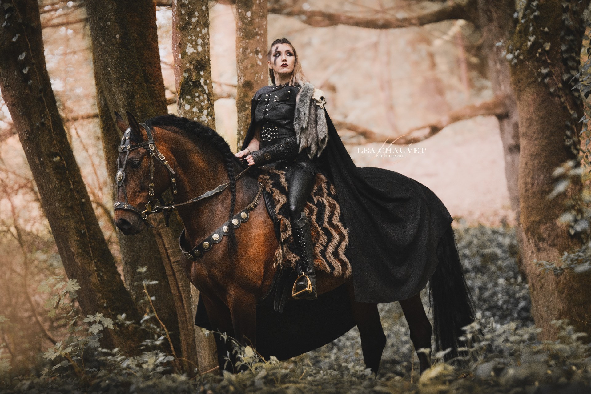 Chevaux