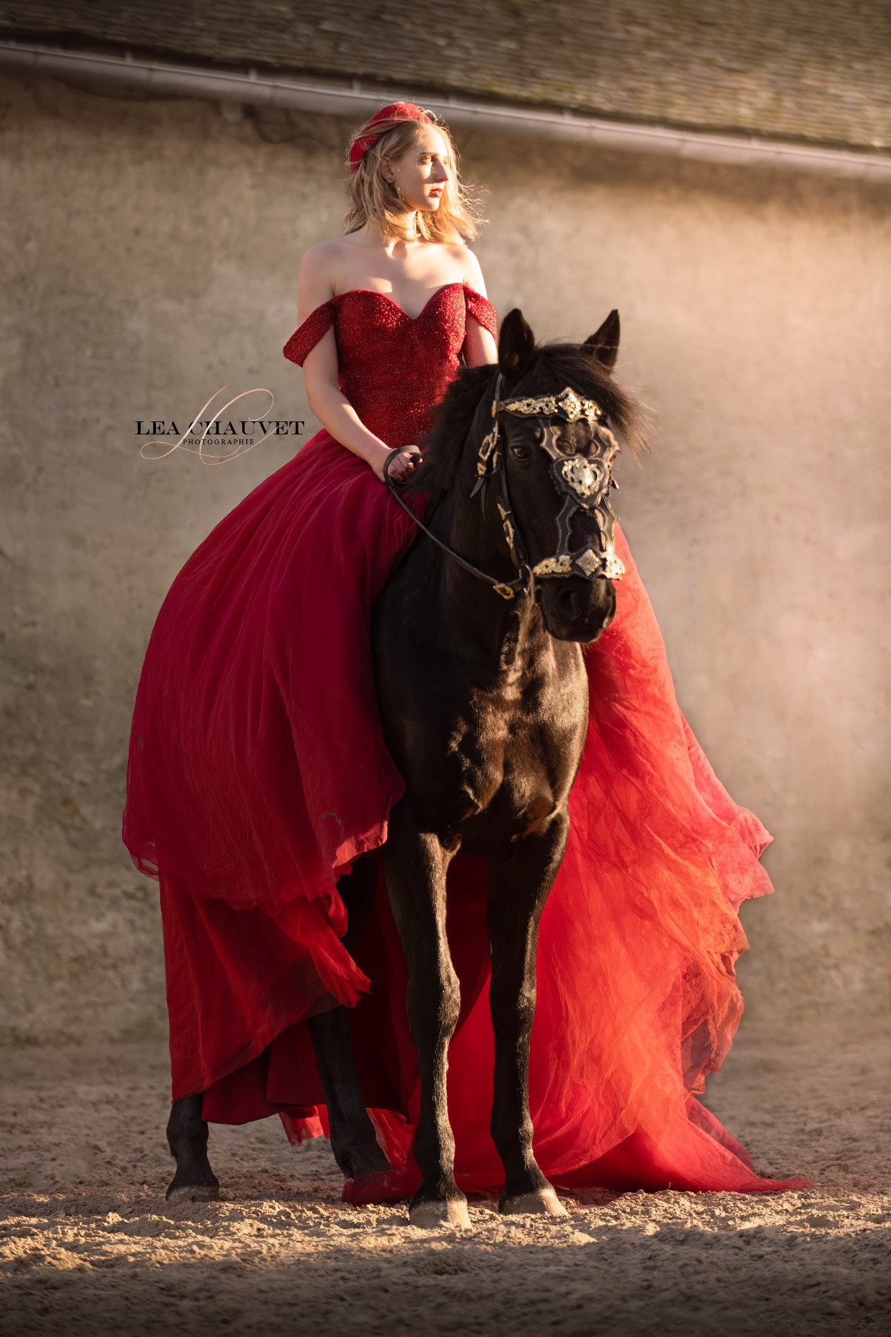 Chevaux