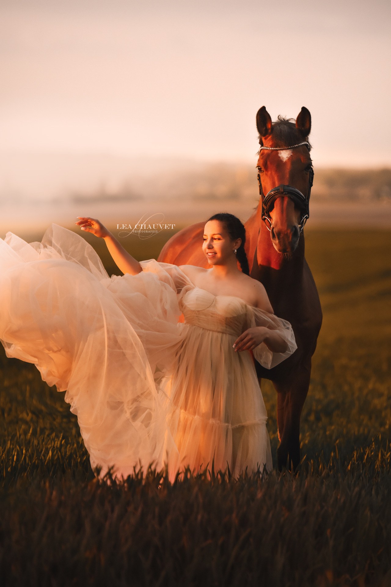 Chevaux